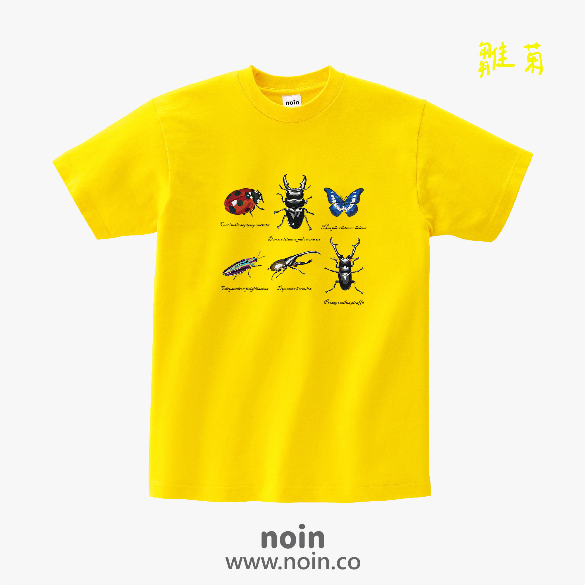 noin