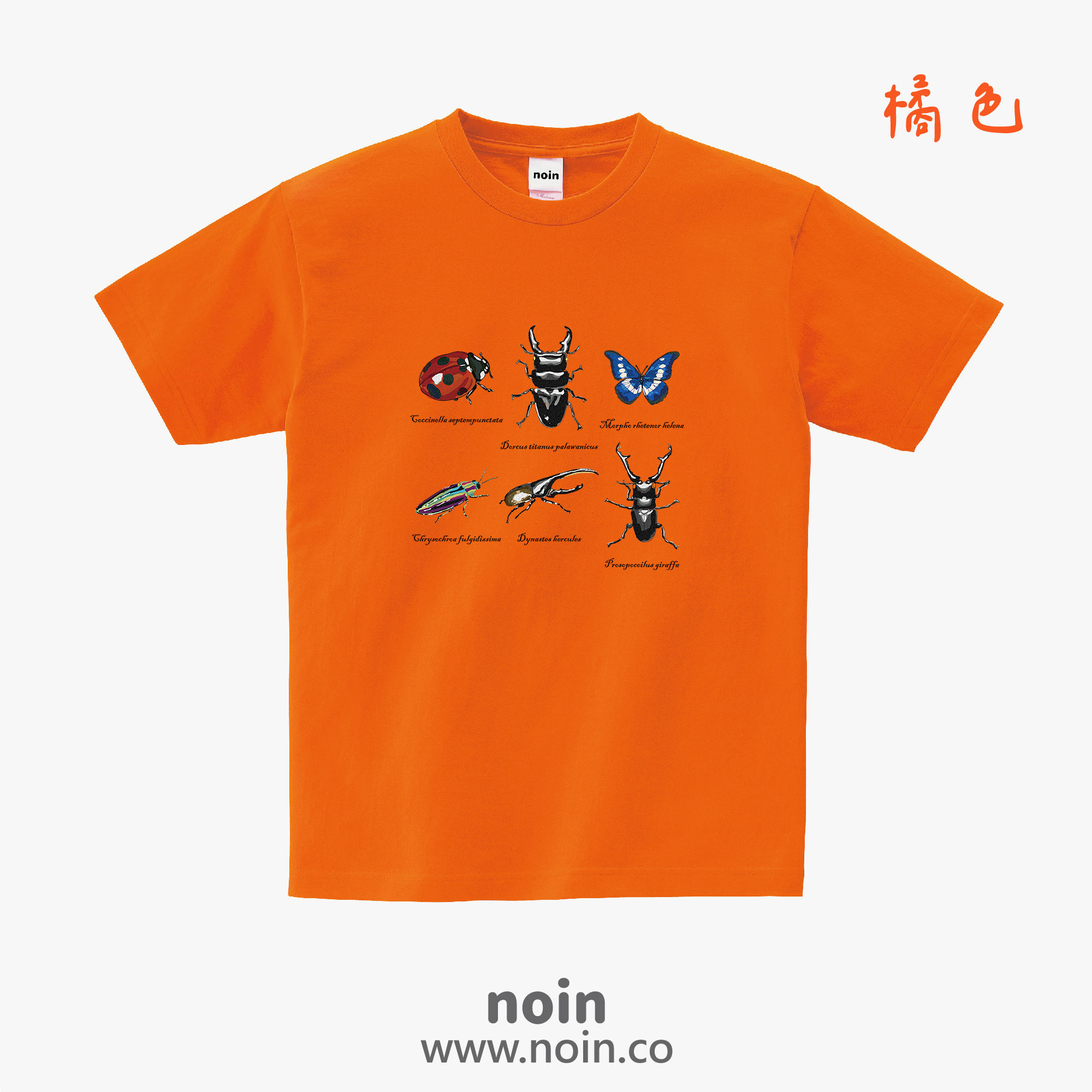 noin