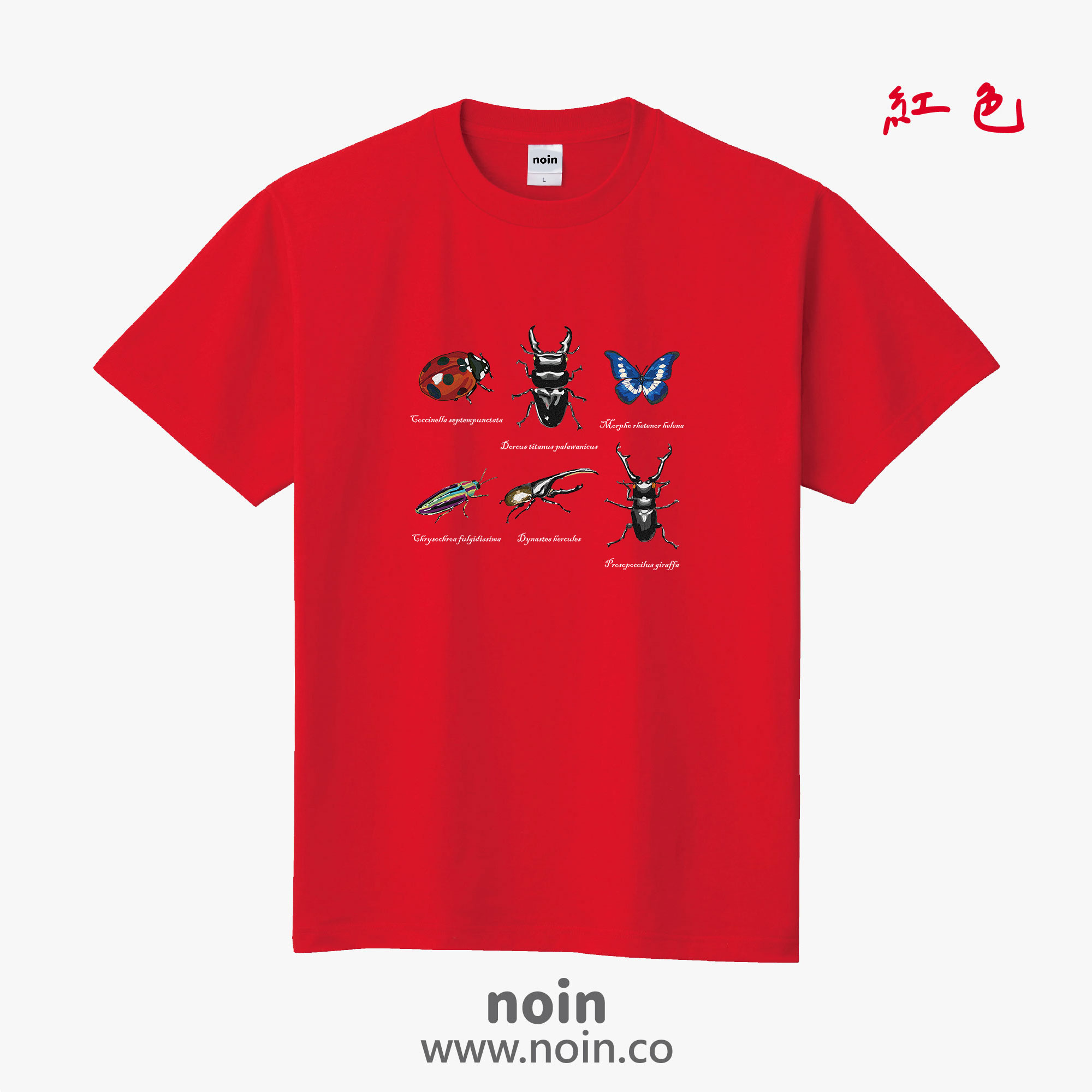noin