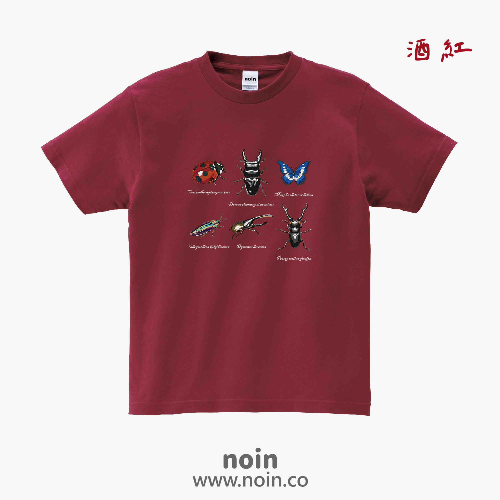noin