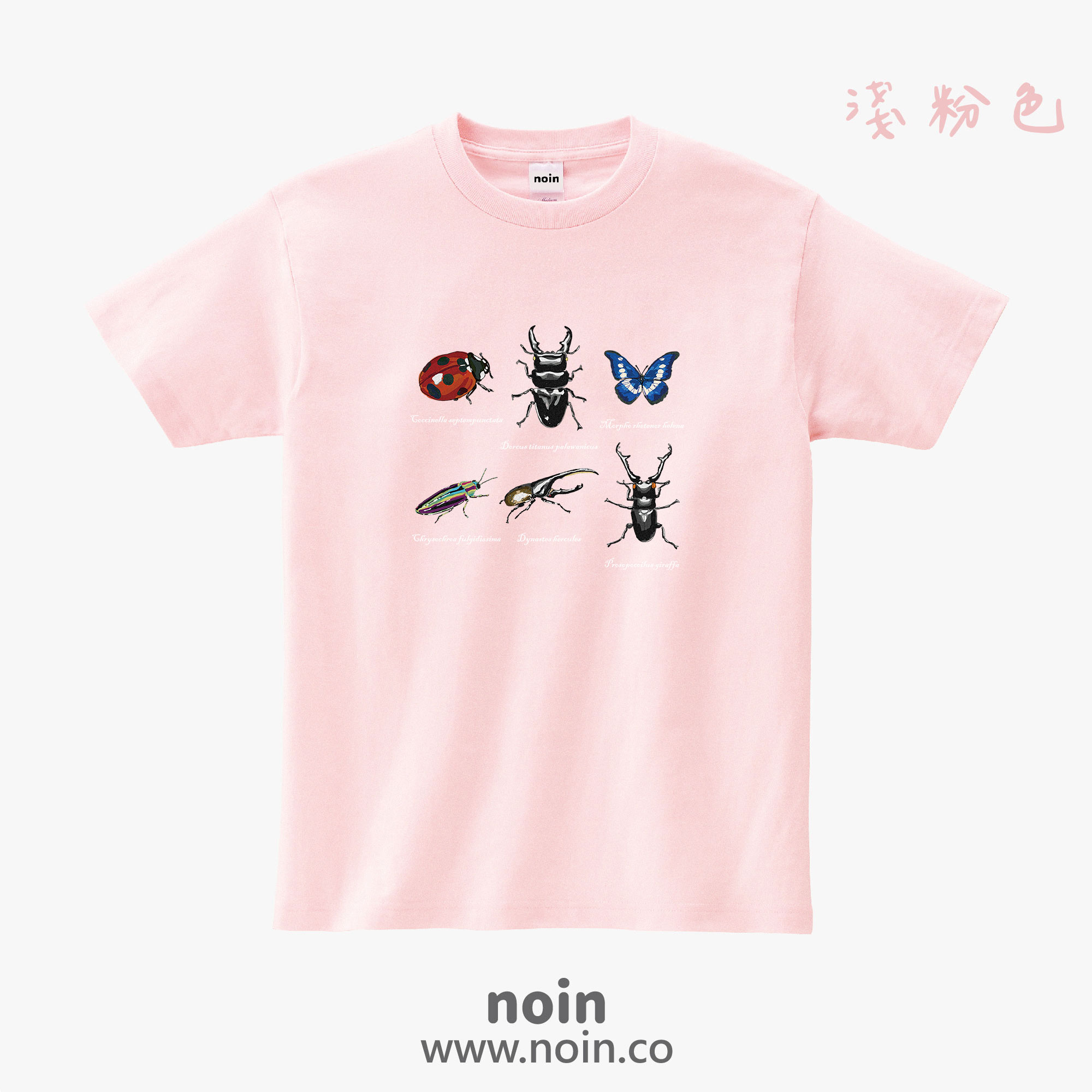 noin