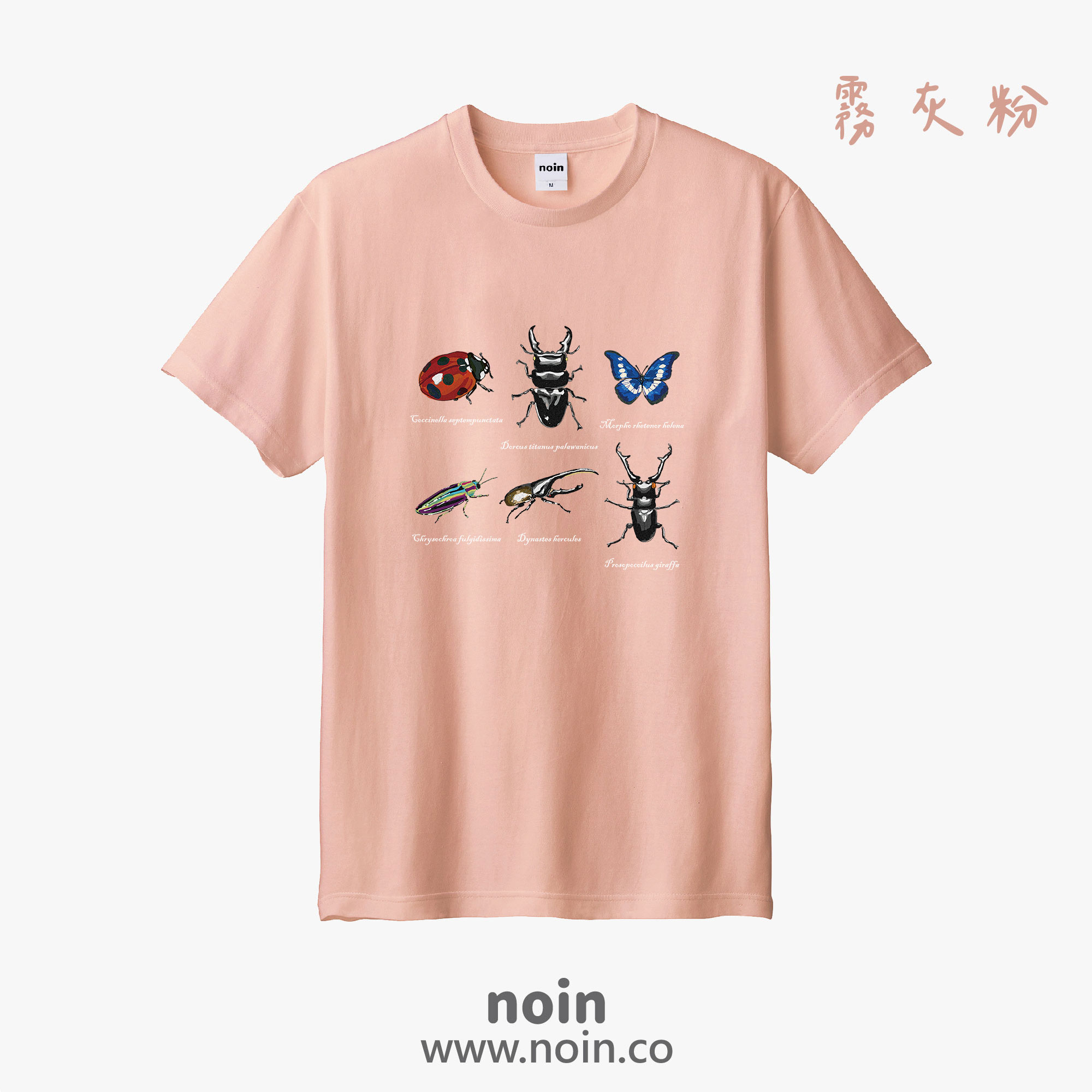 noin