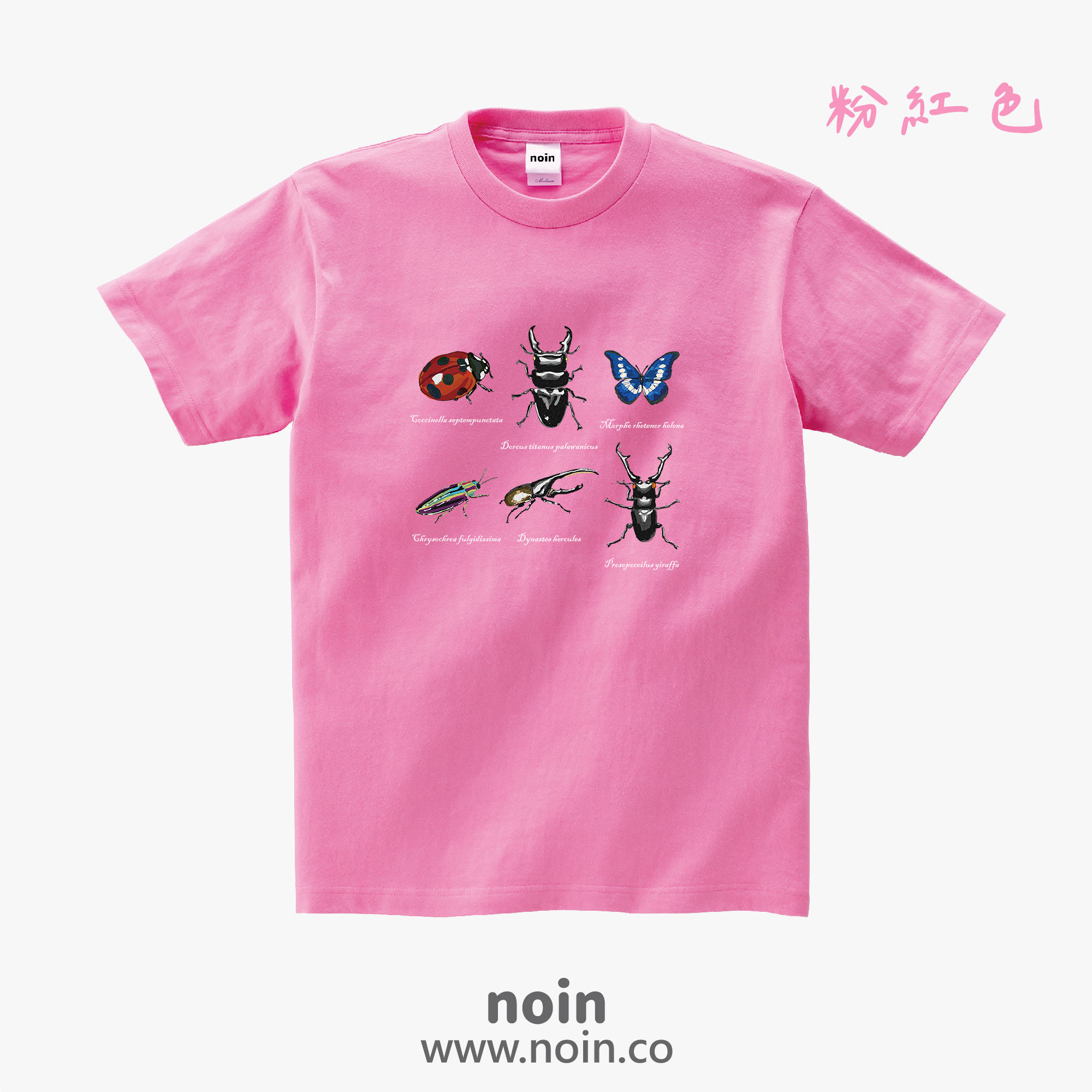 noin