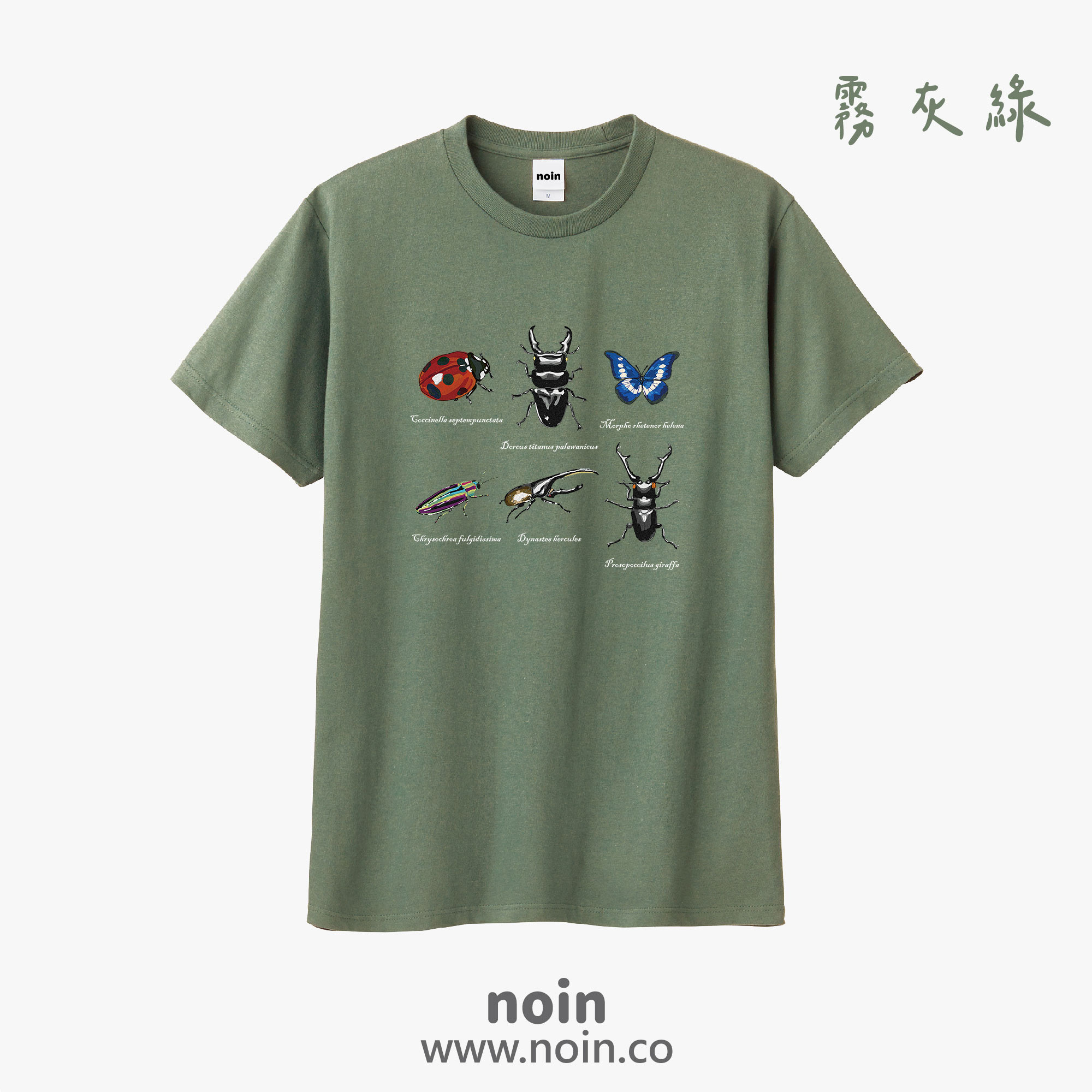 noin