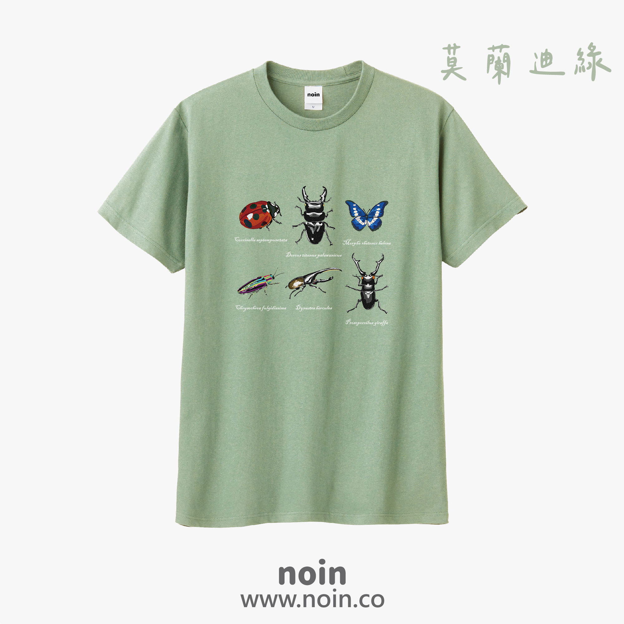 noin