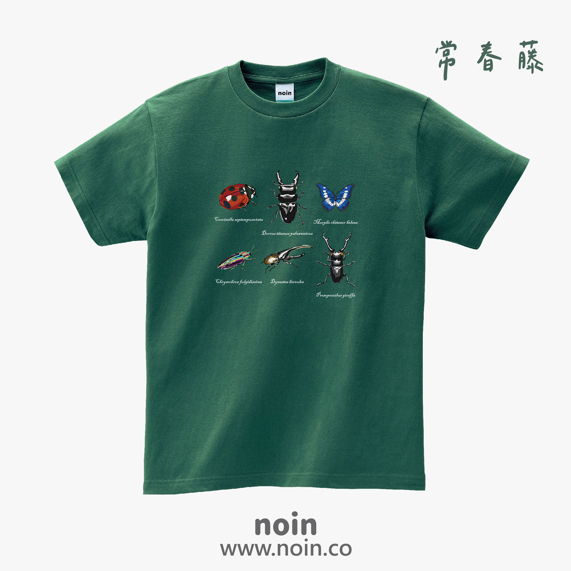 noin