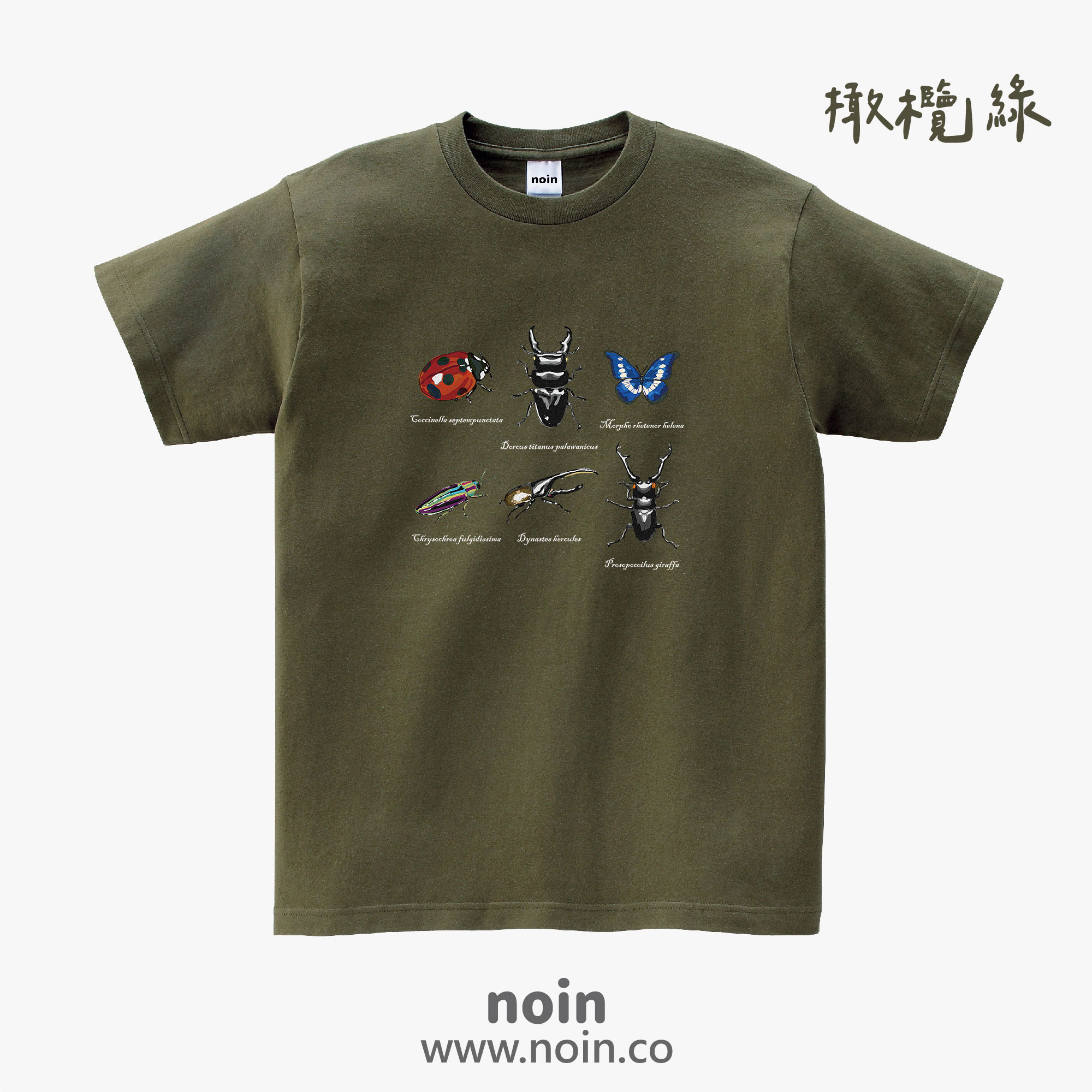 noin