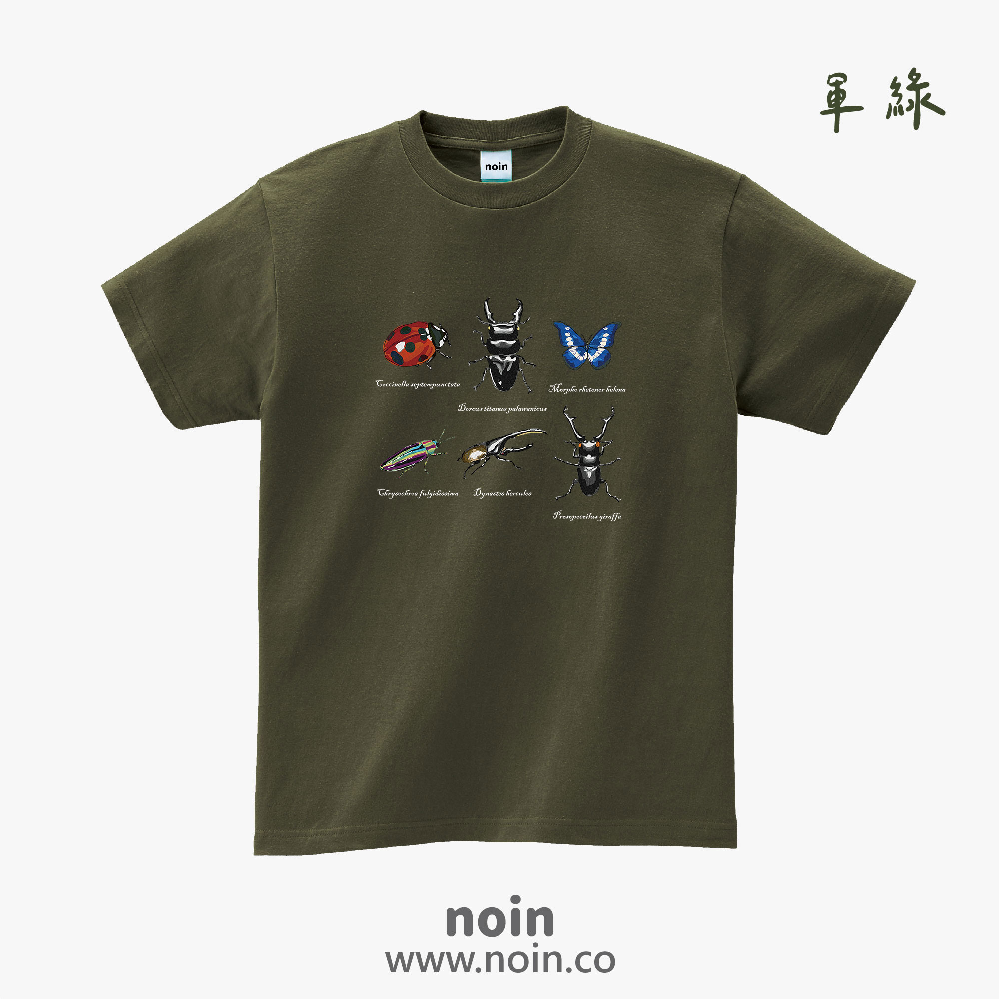 noin