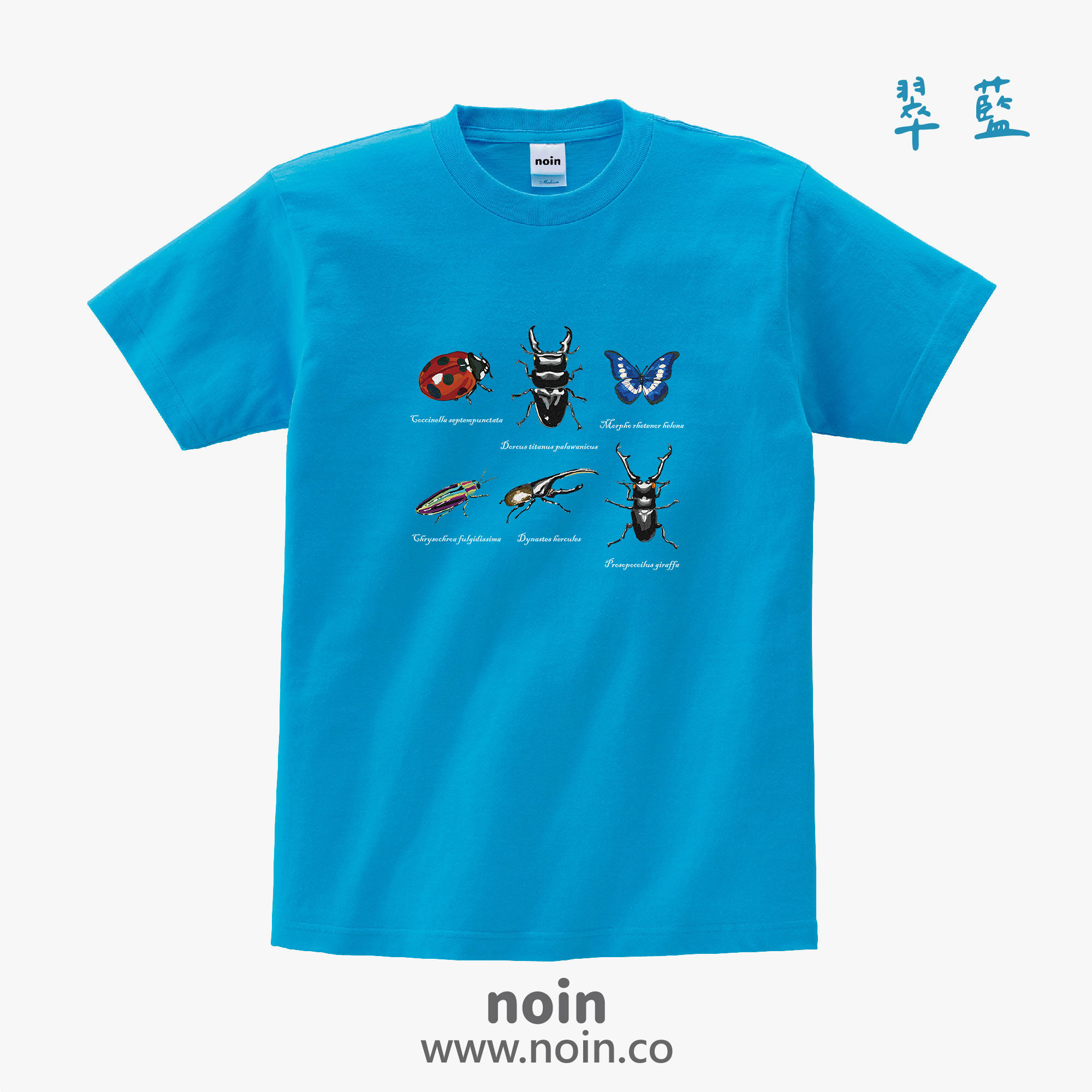 noin