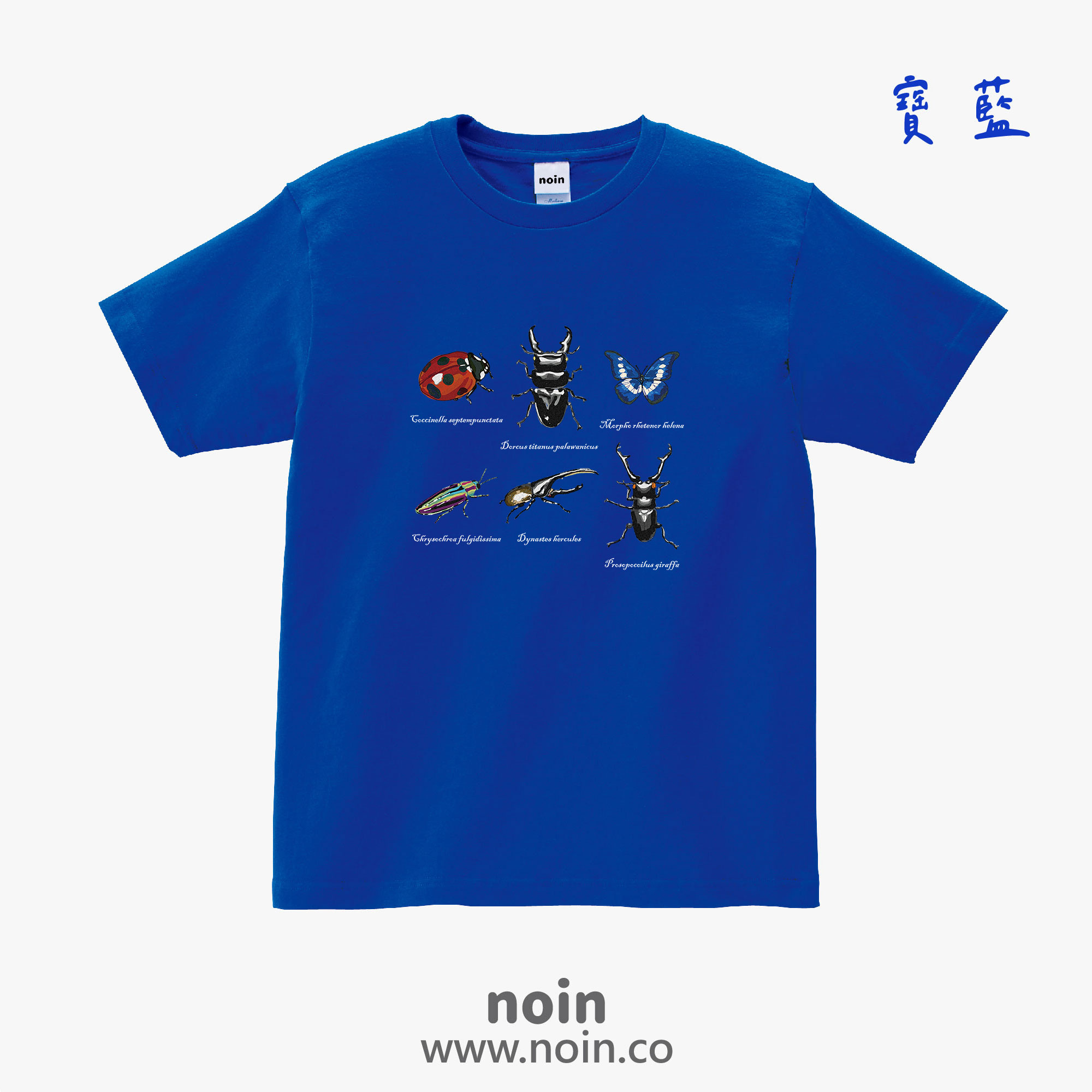 noin