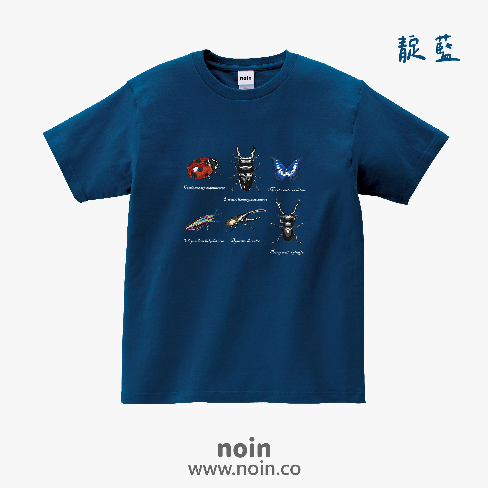 noin
