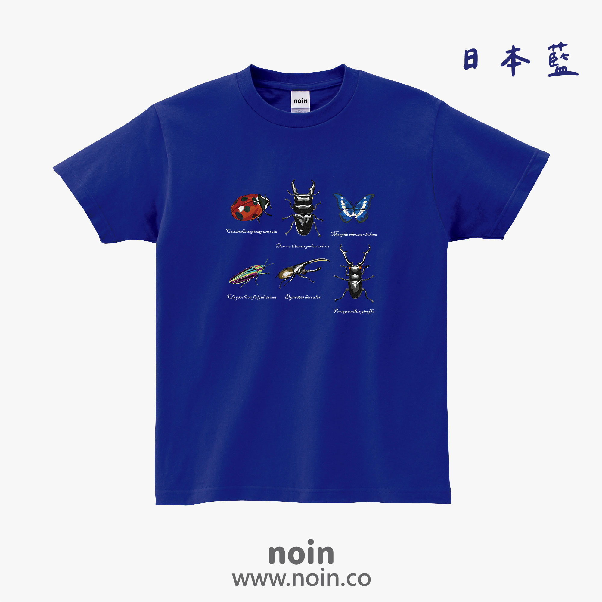 noin