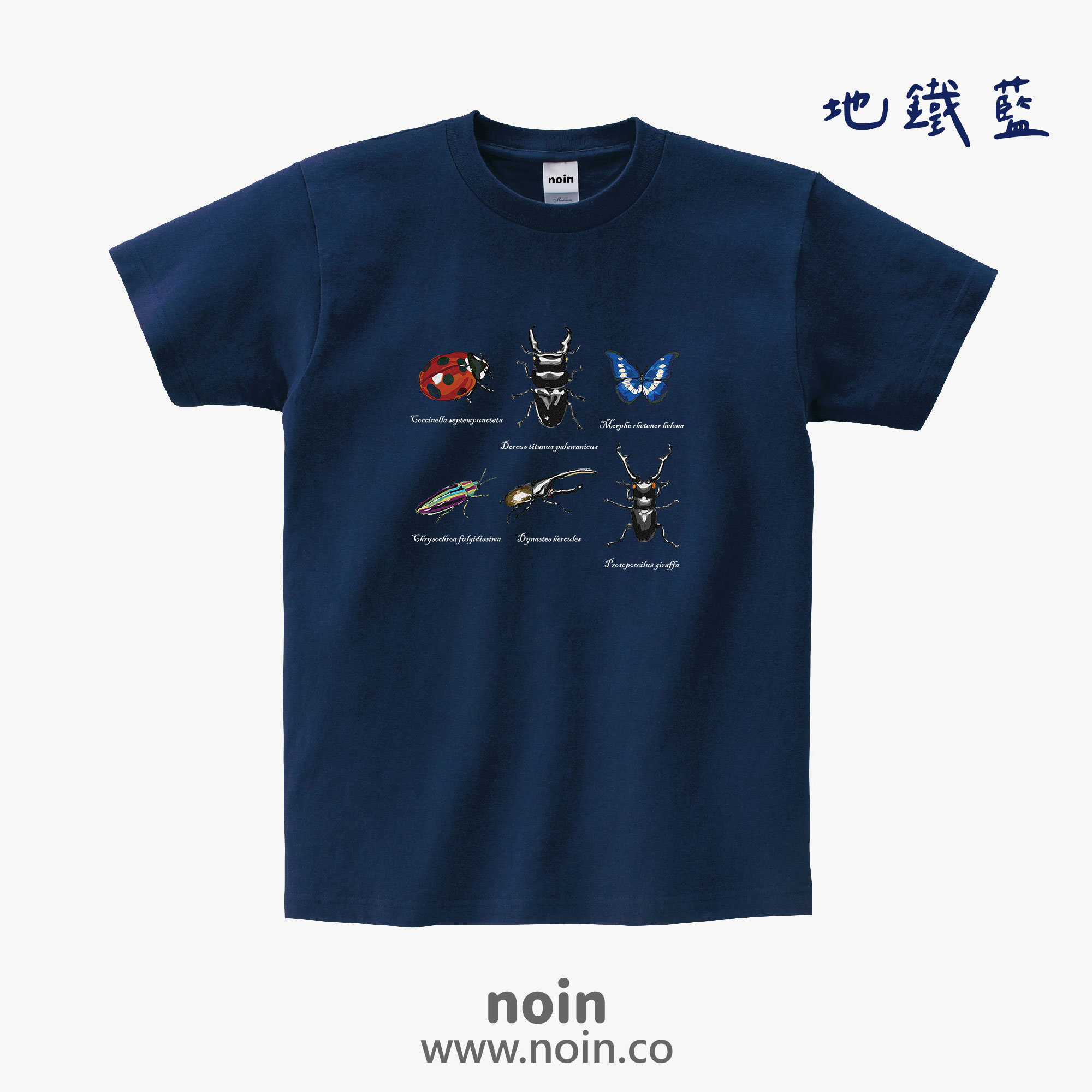 noin