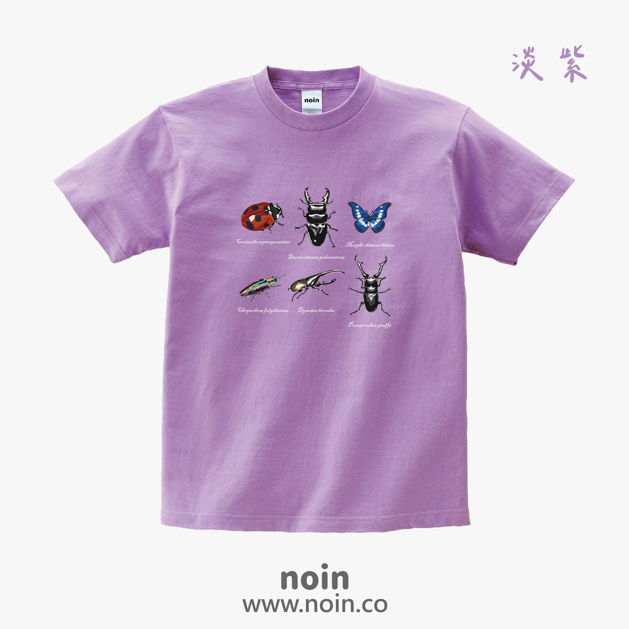 noin