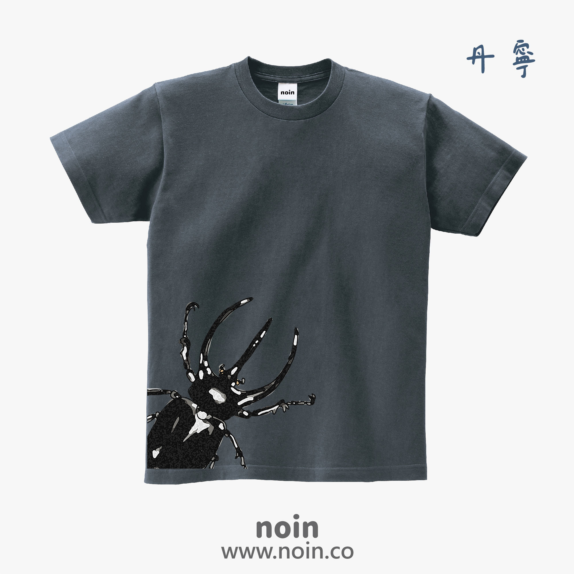 noin