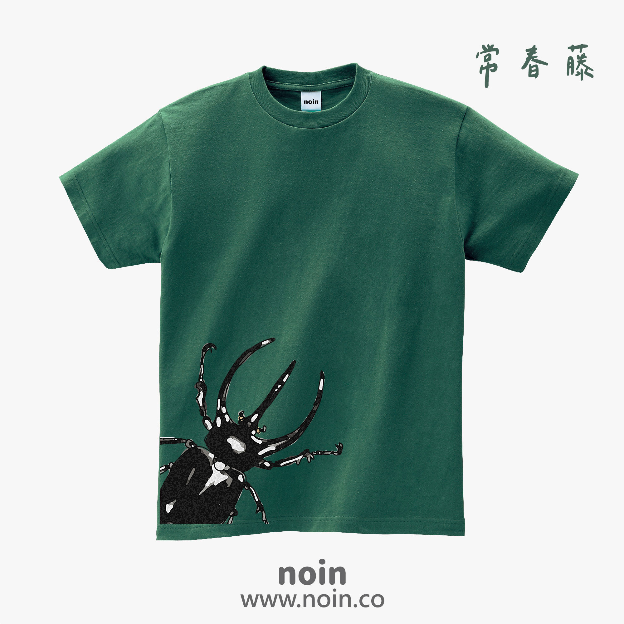noin