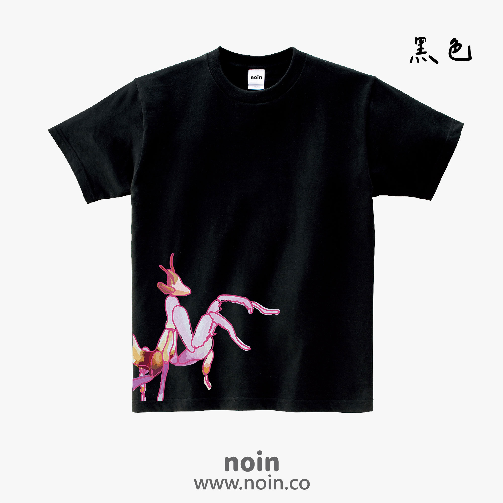noin