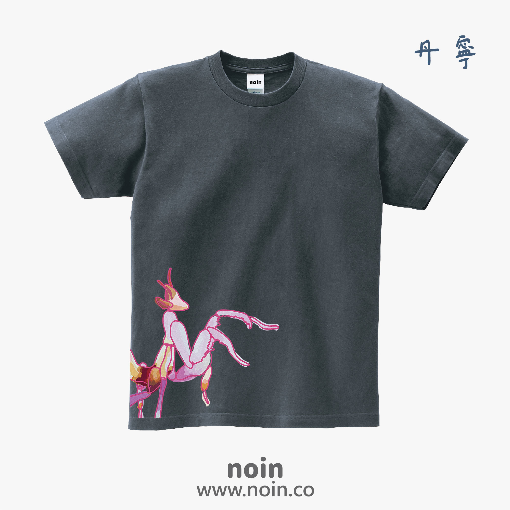 noin