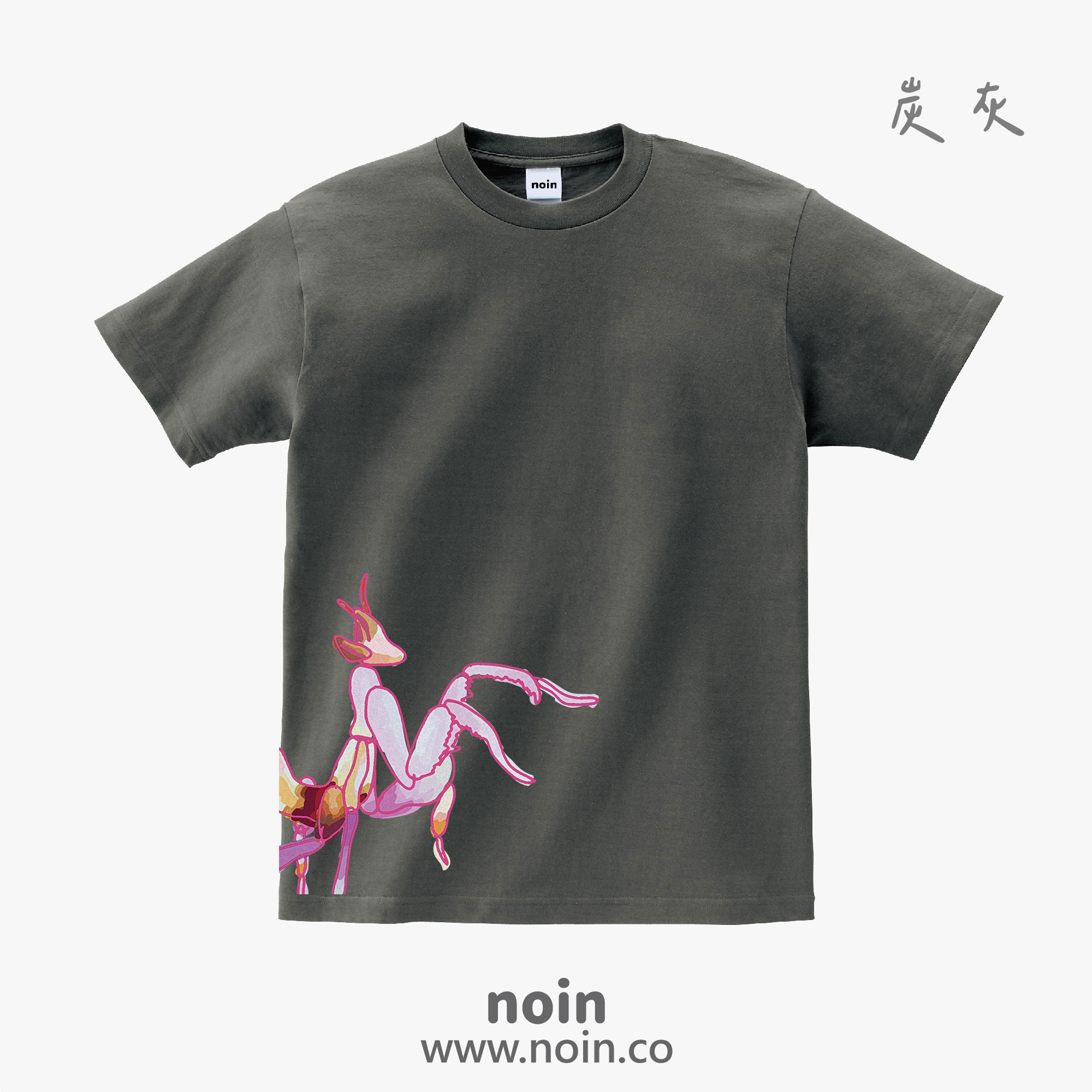 noin
