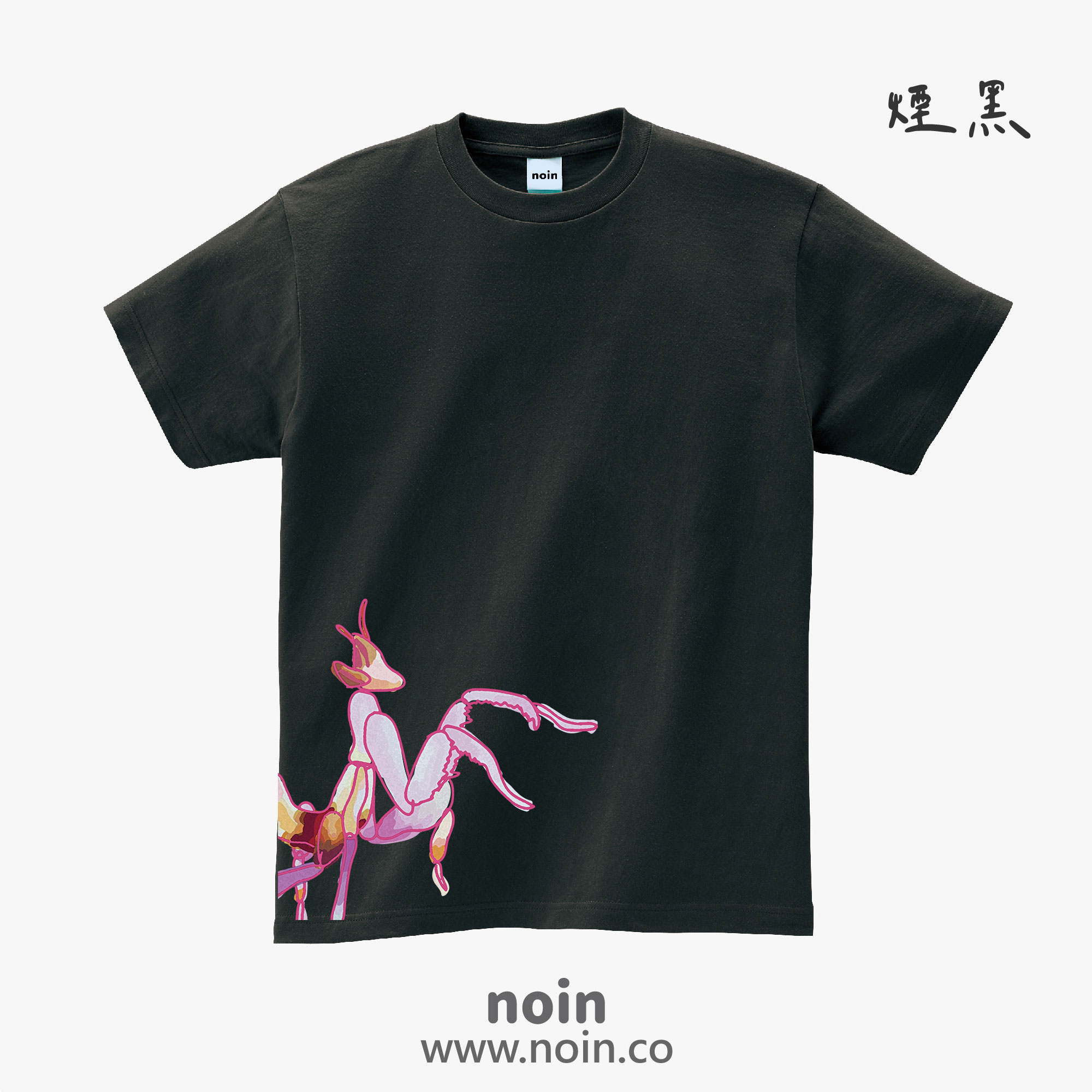 noin
