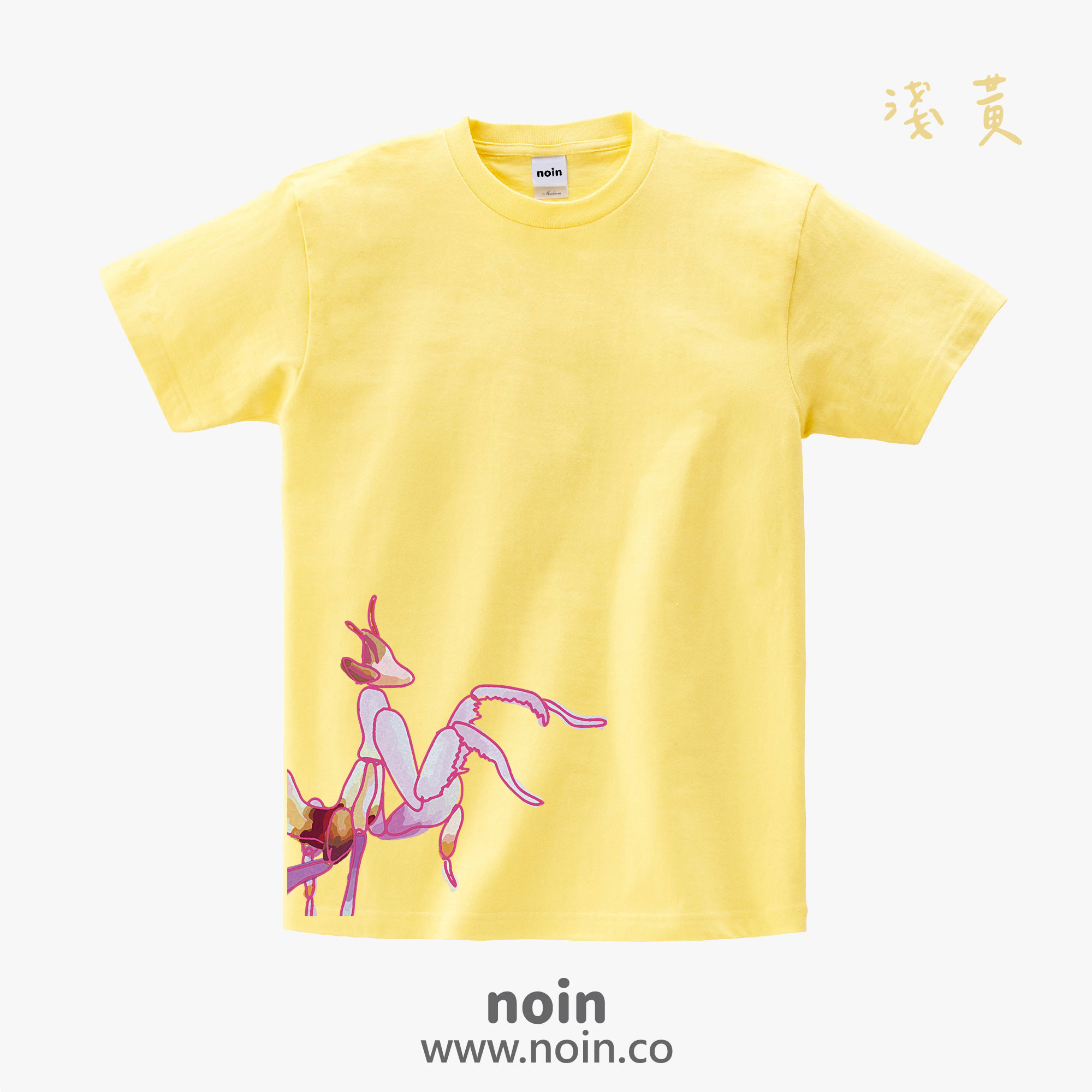 noin