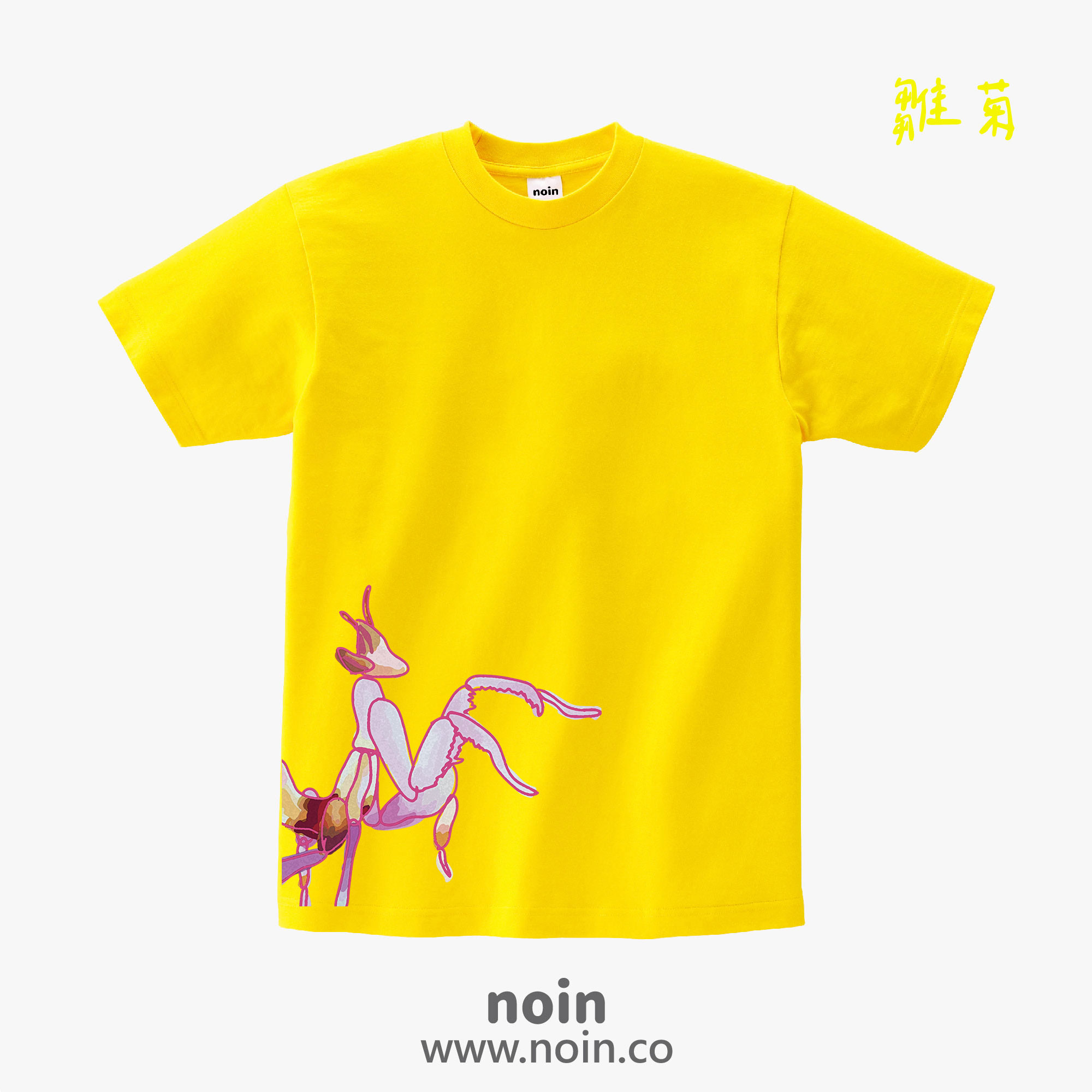 noin