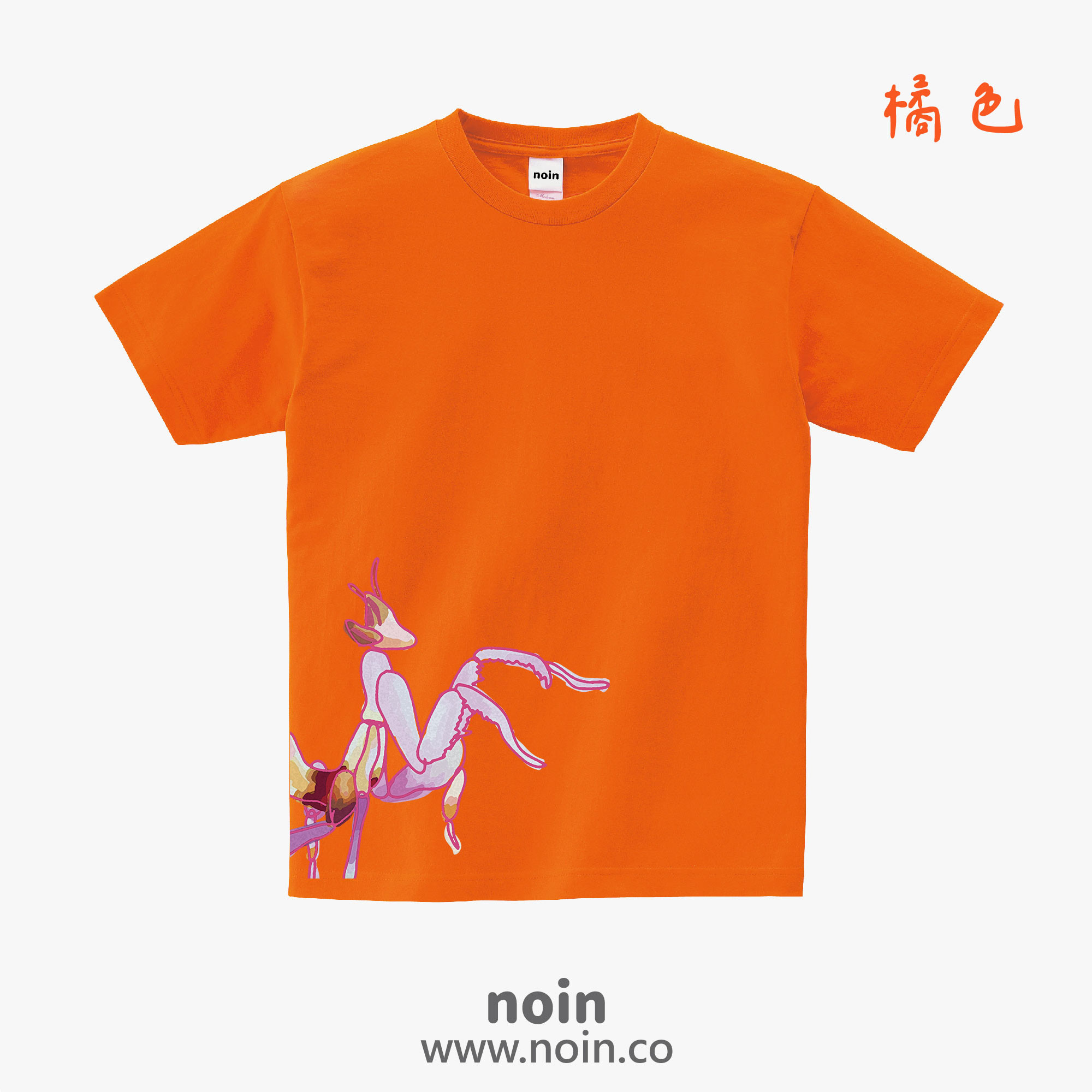 noin