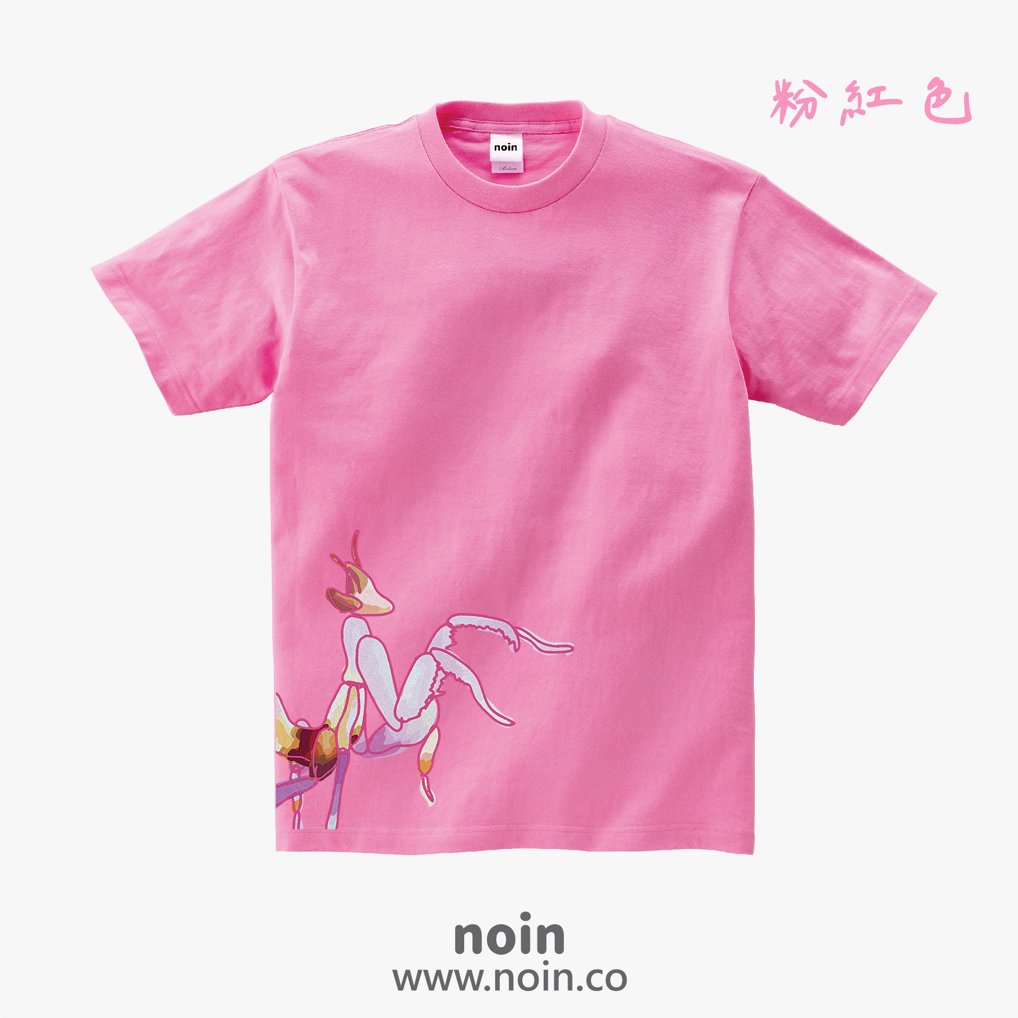 noin
