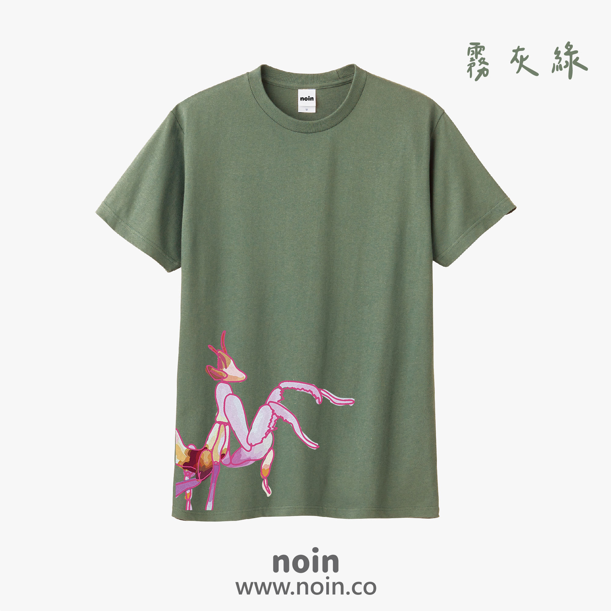 noin