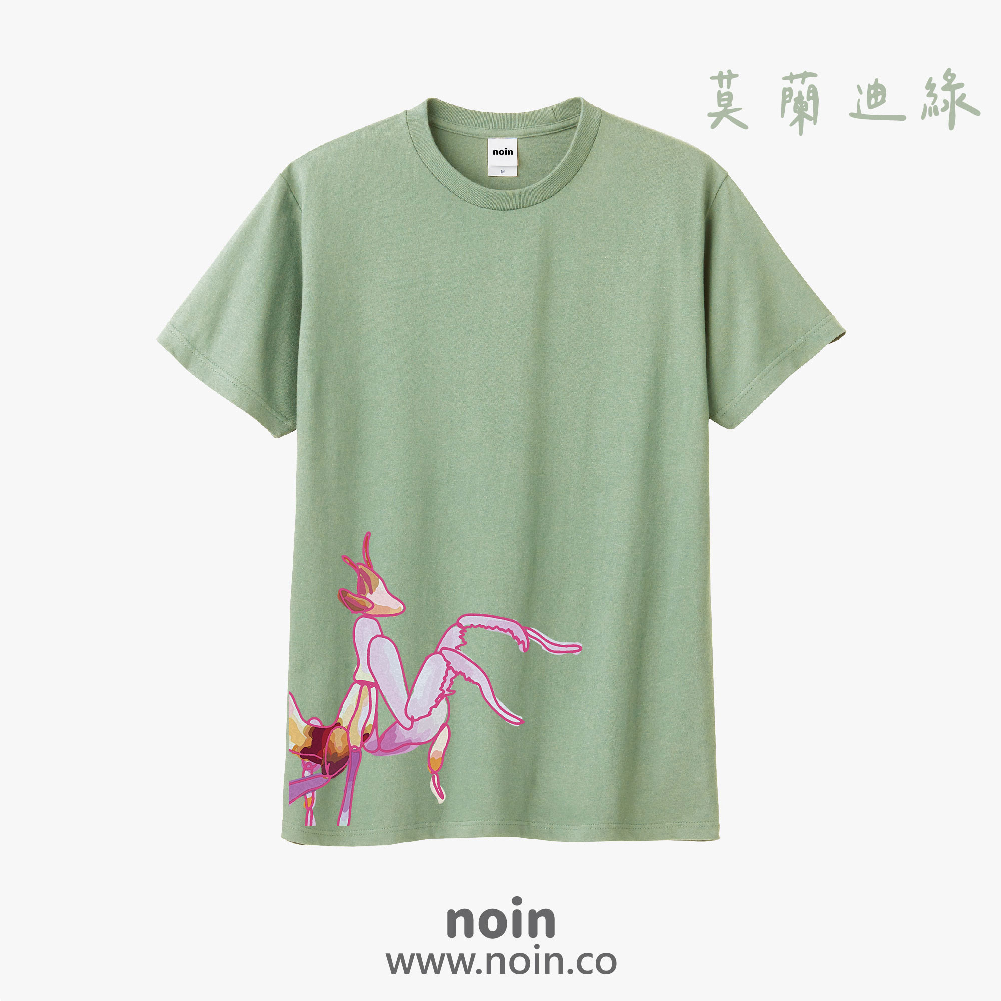 noin