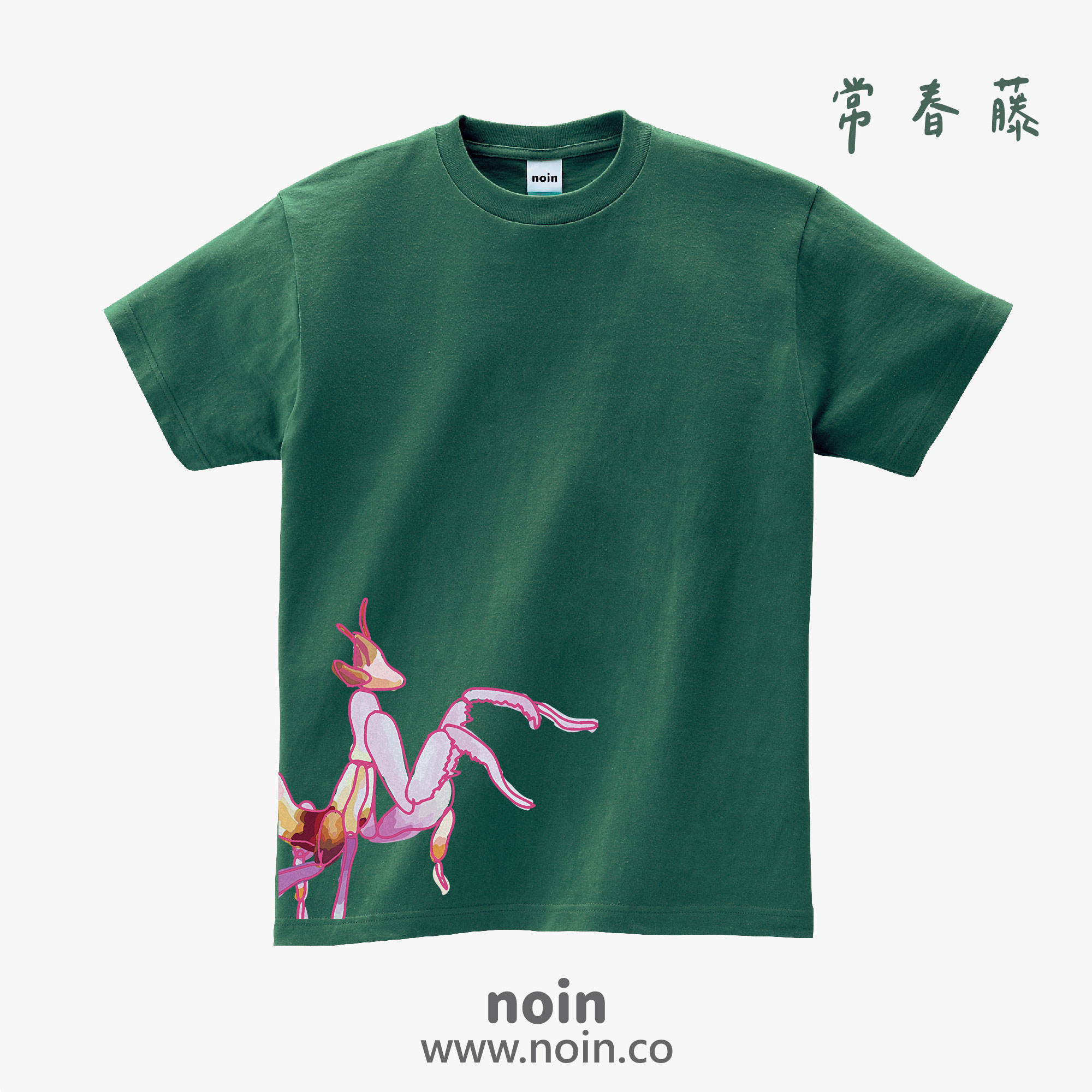 noin