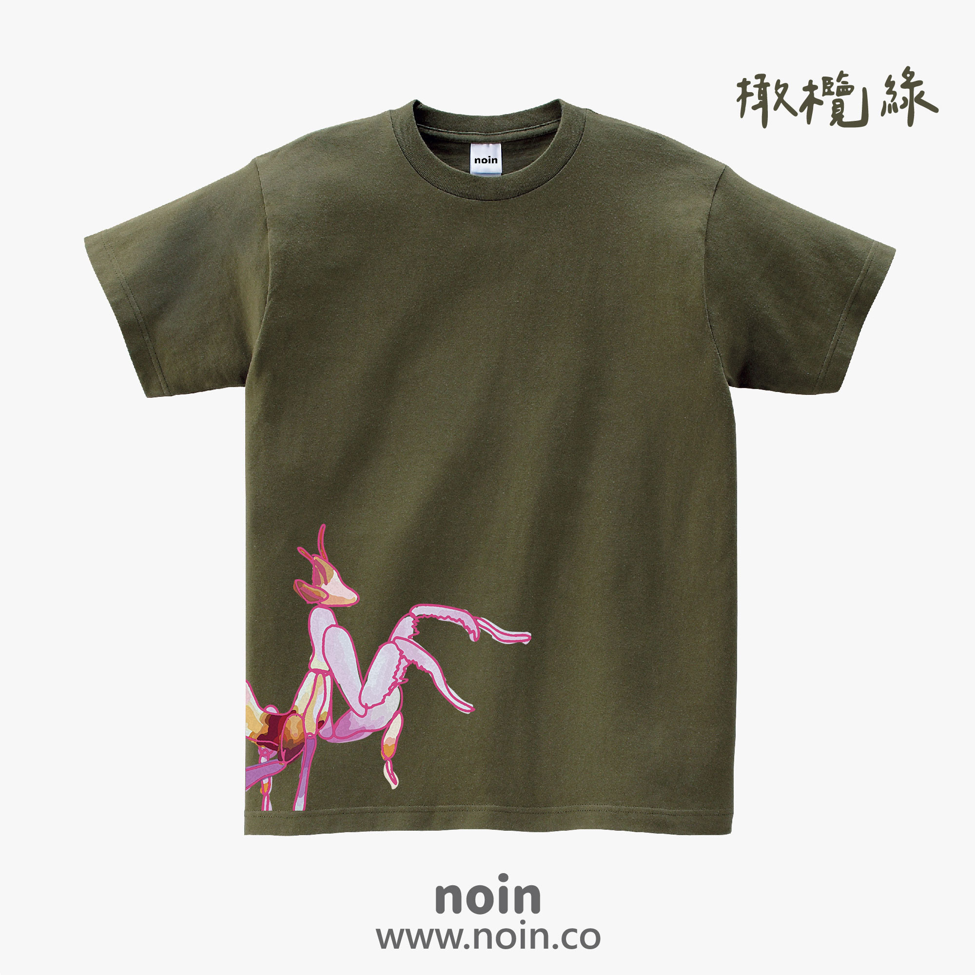 noin