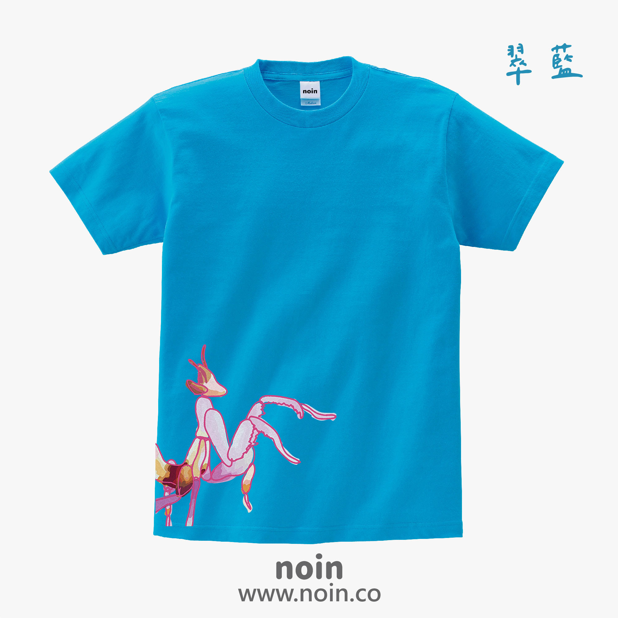 noin