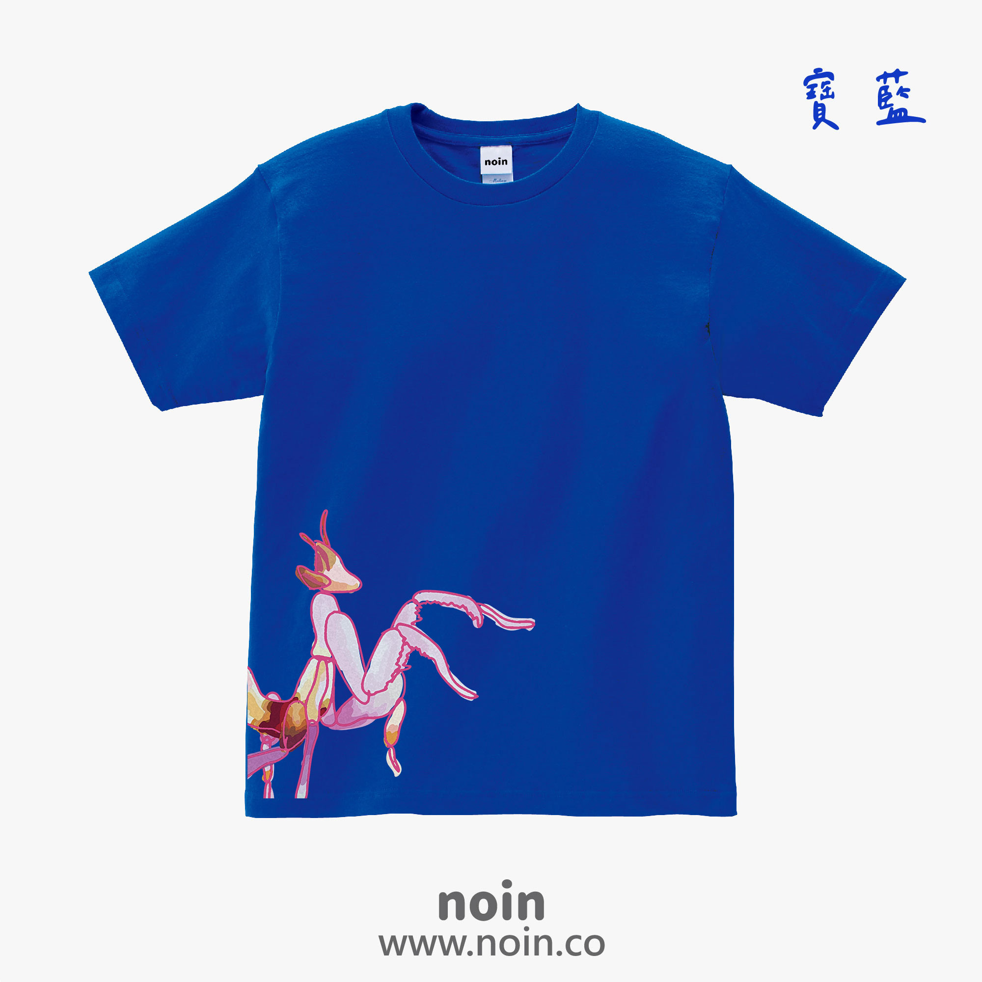 noin