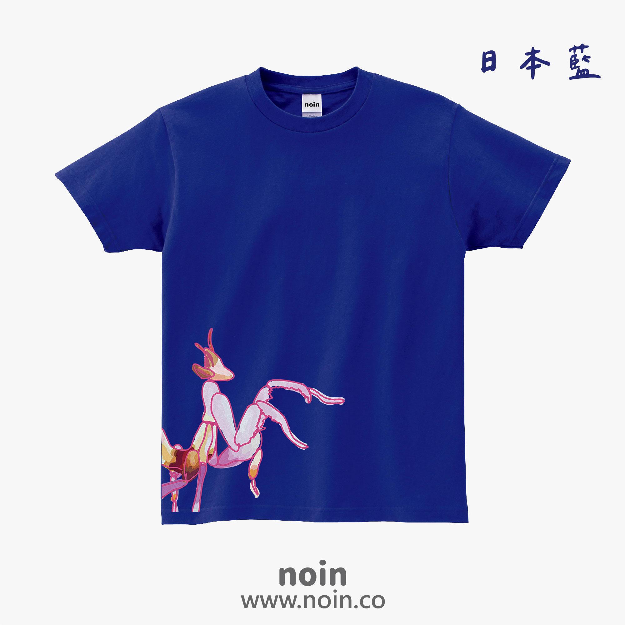 noin