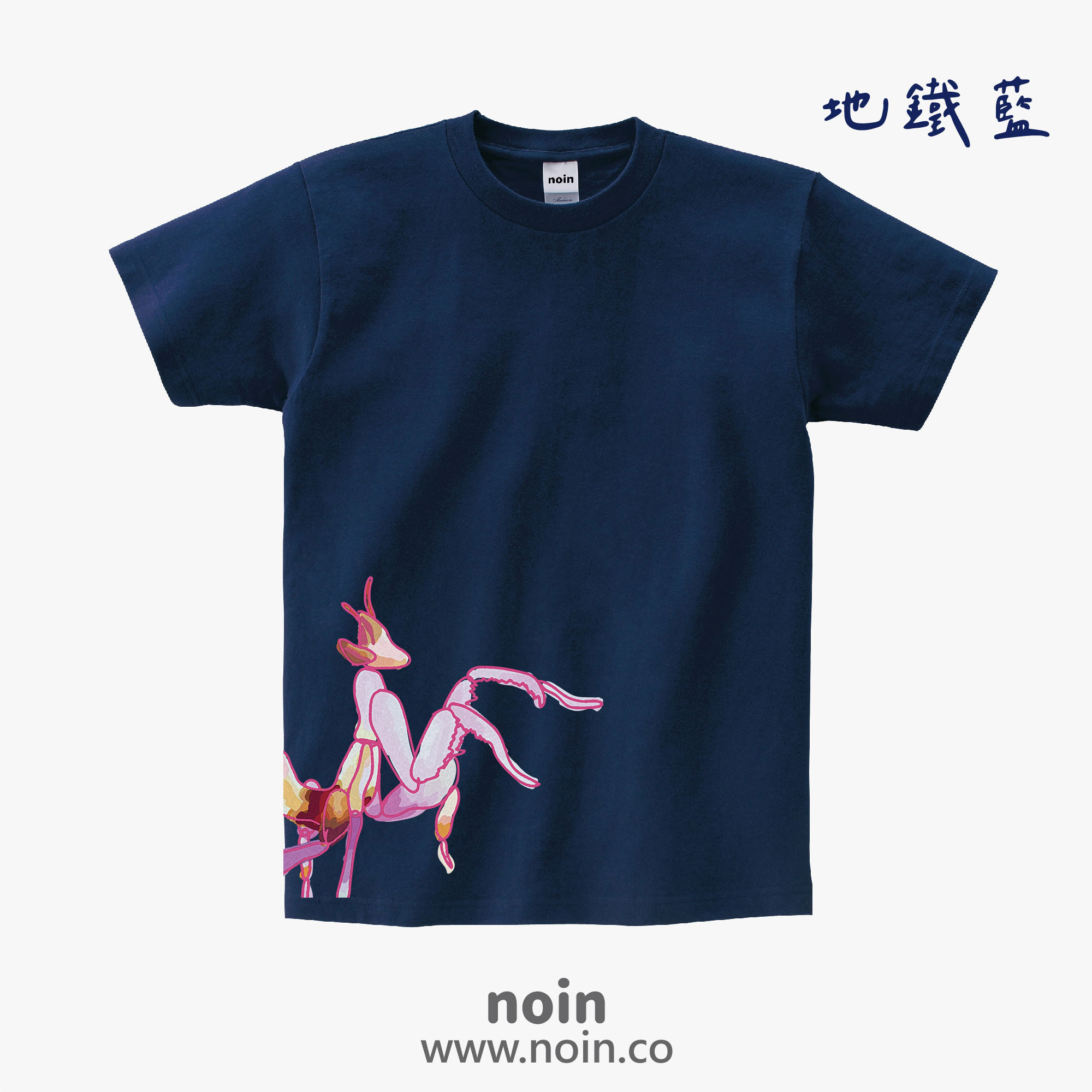 noin