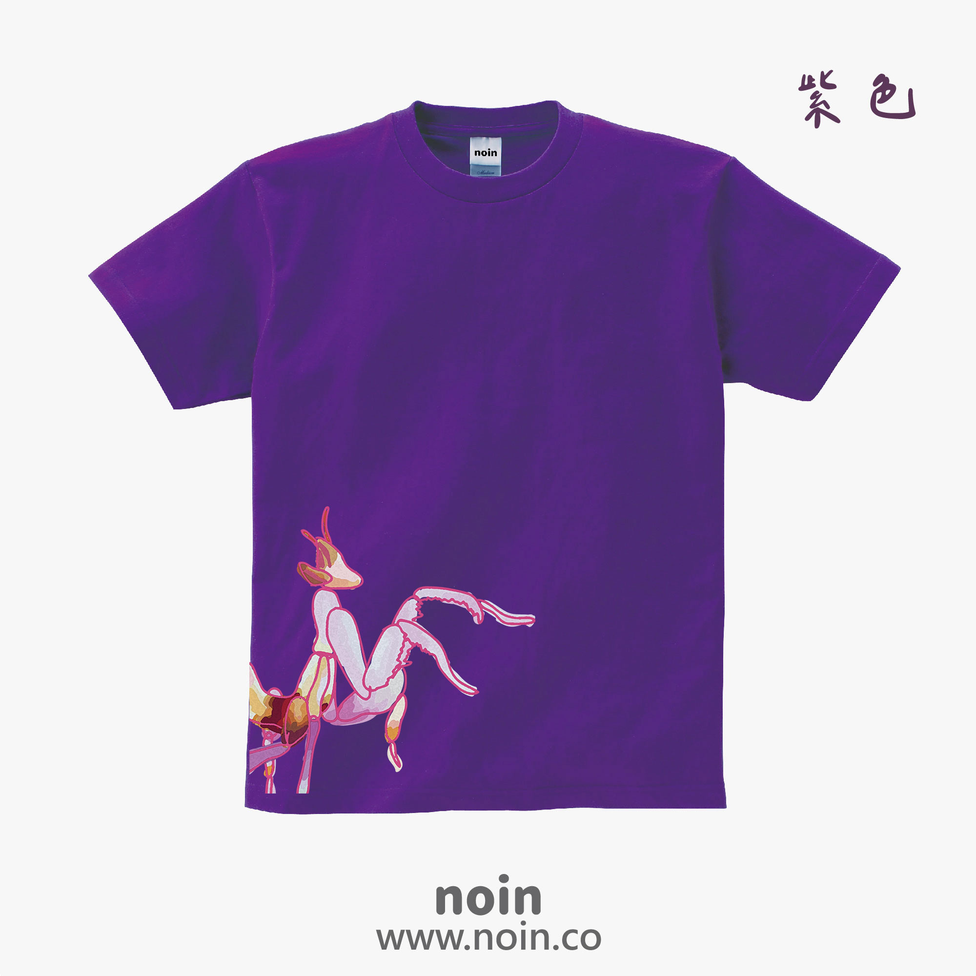 noin