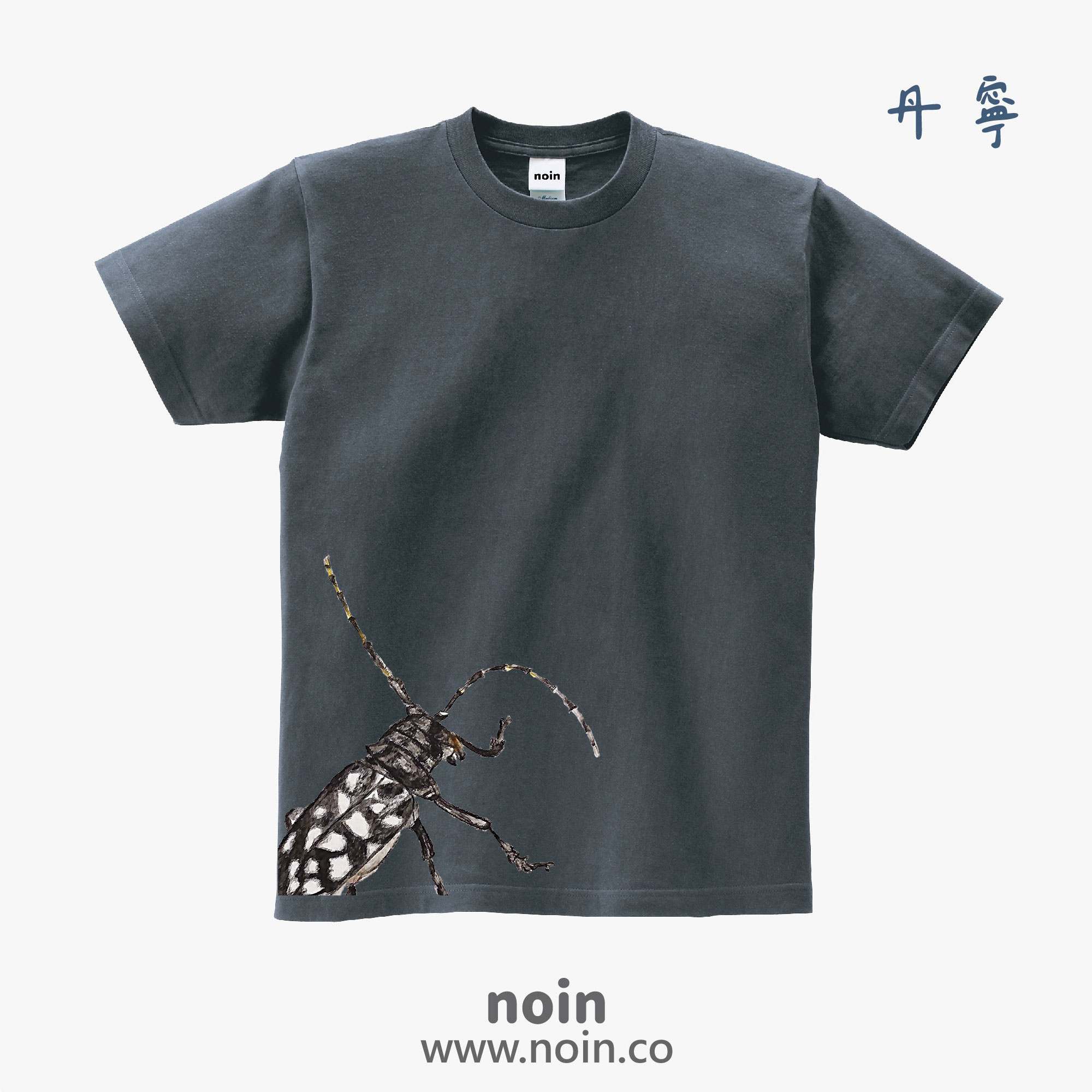 noin