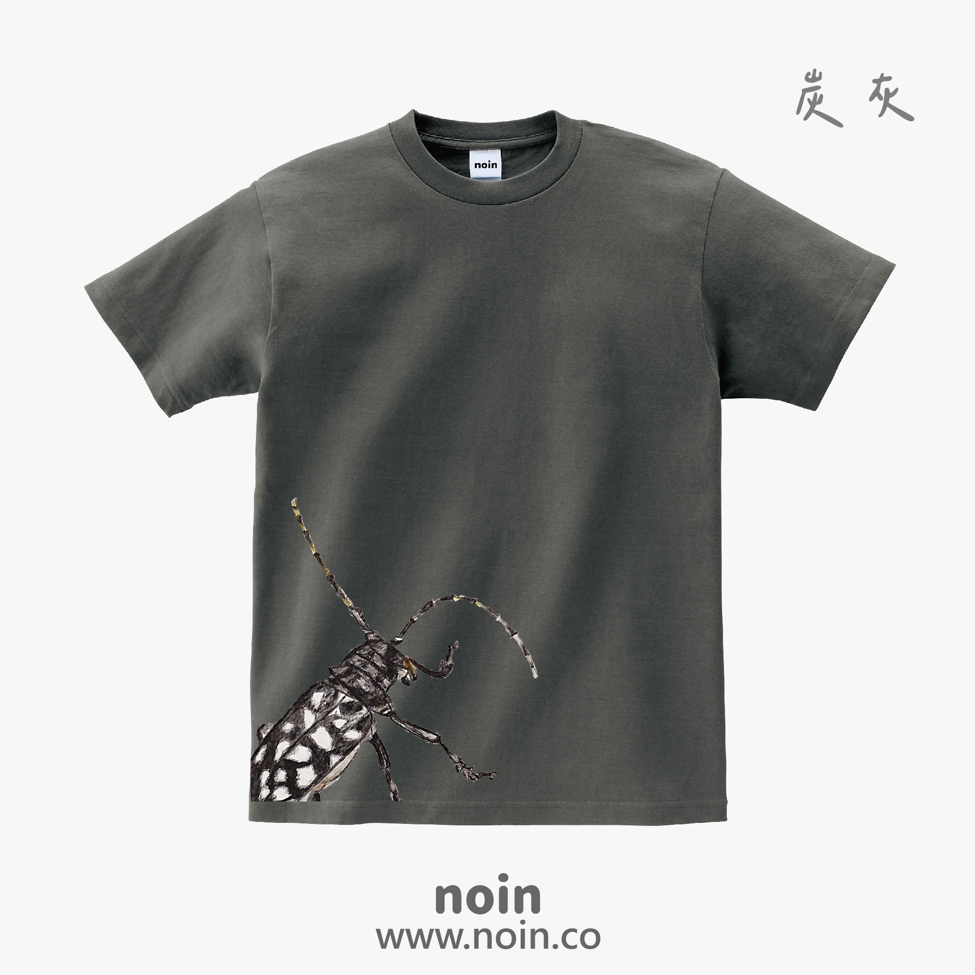 noin