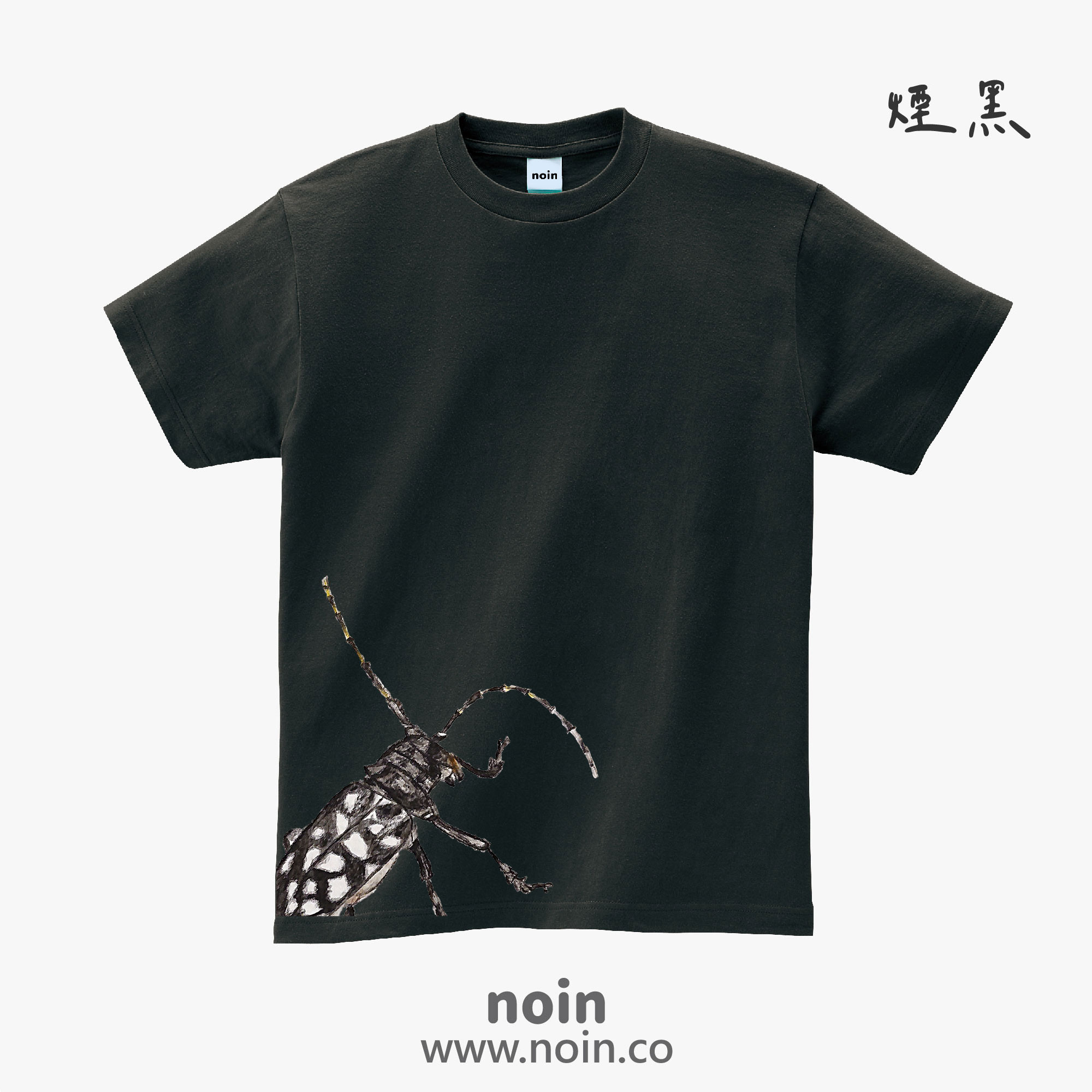 noin