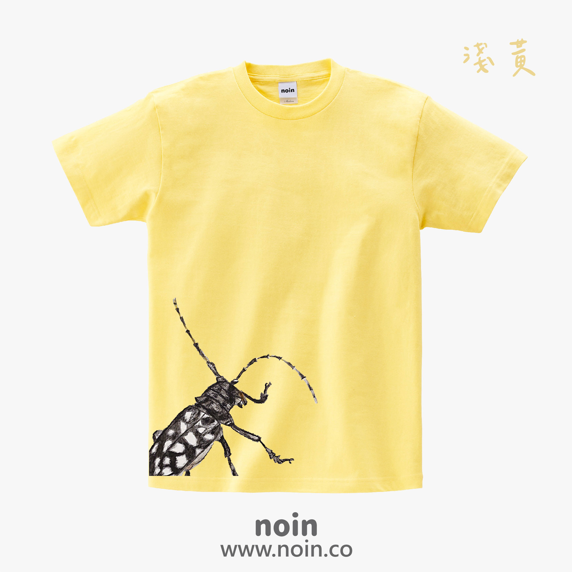 noin