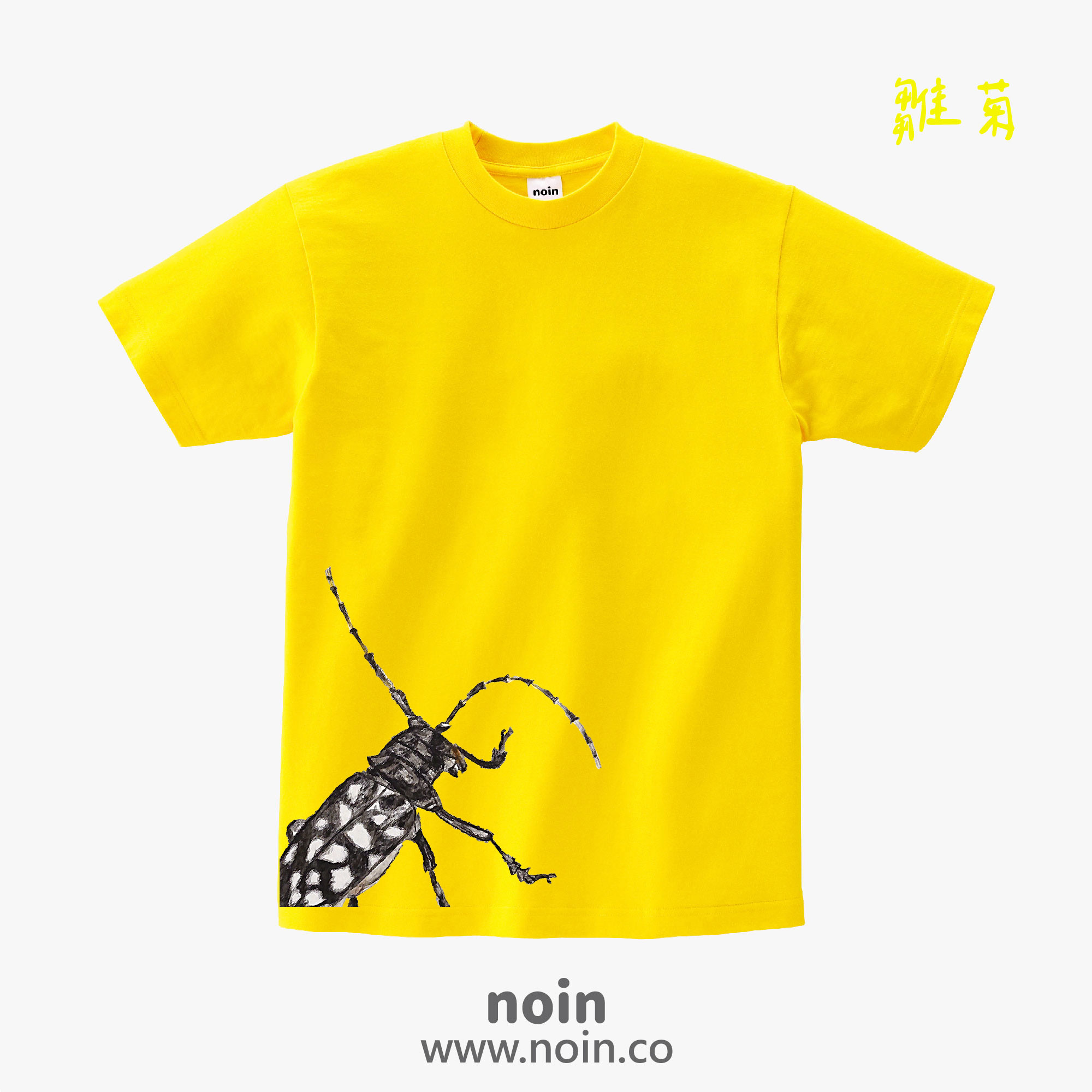 noin