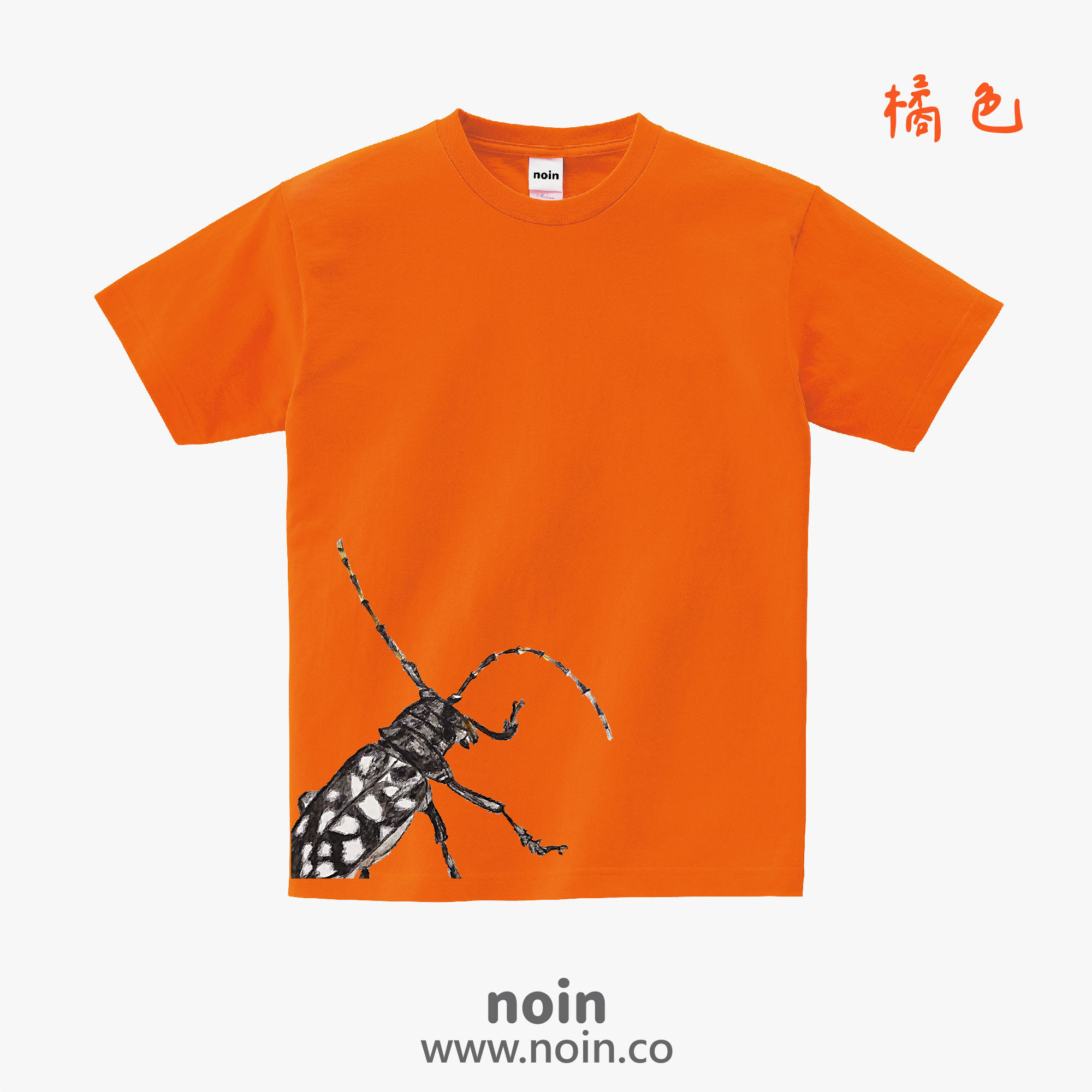 noin