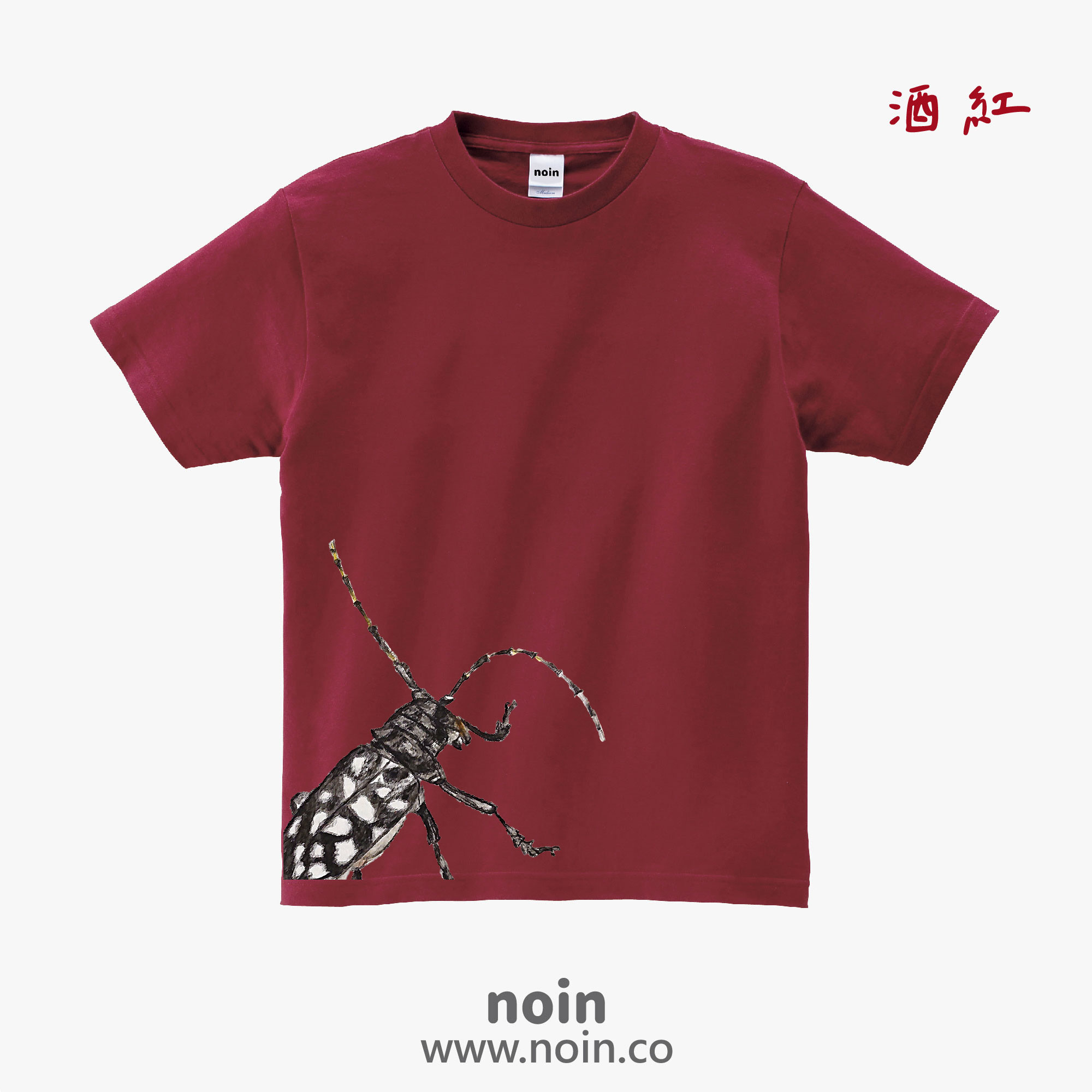 noin