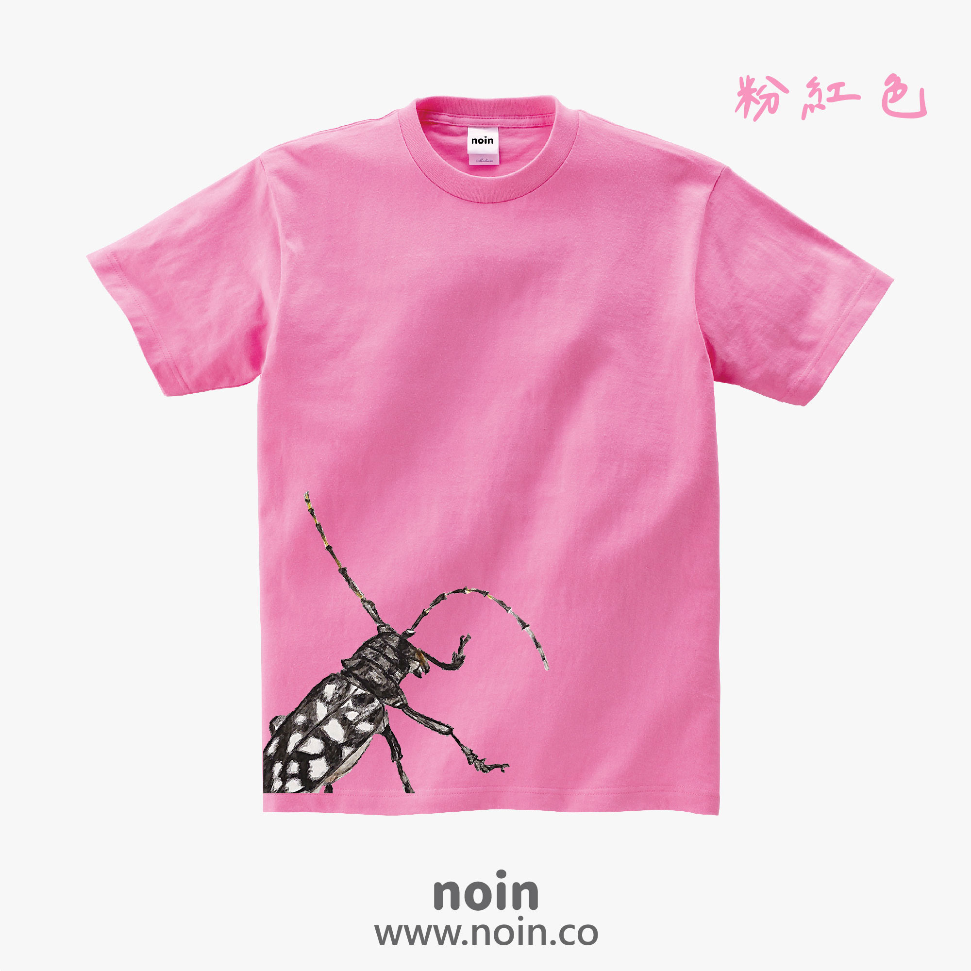 noin