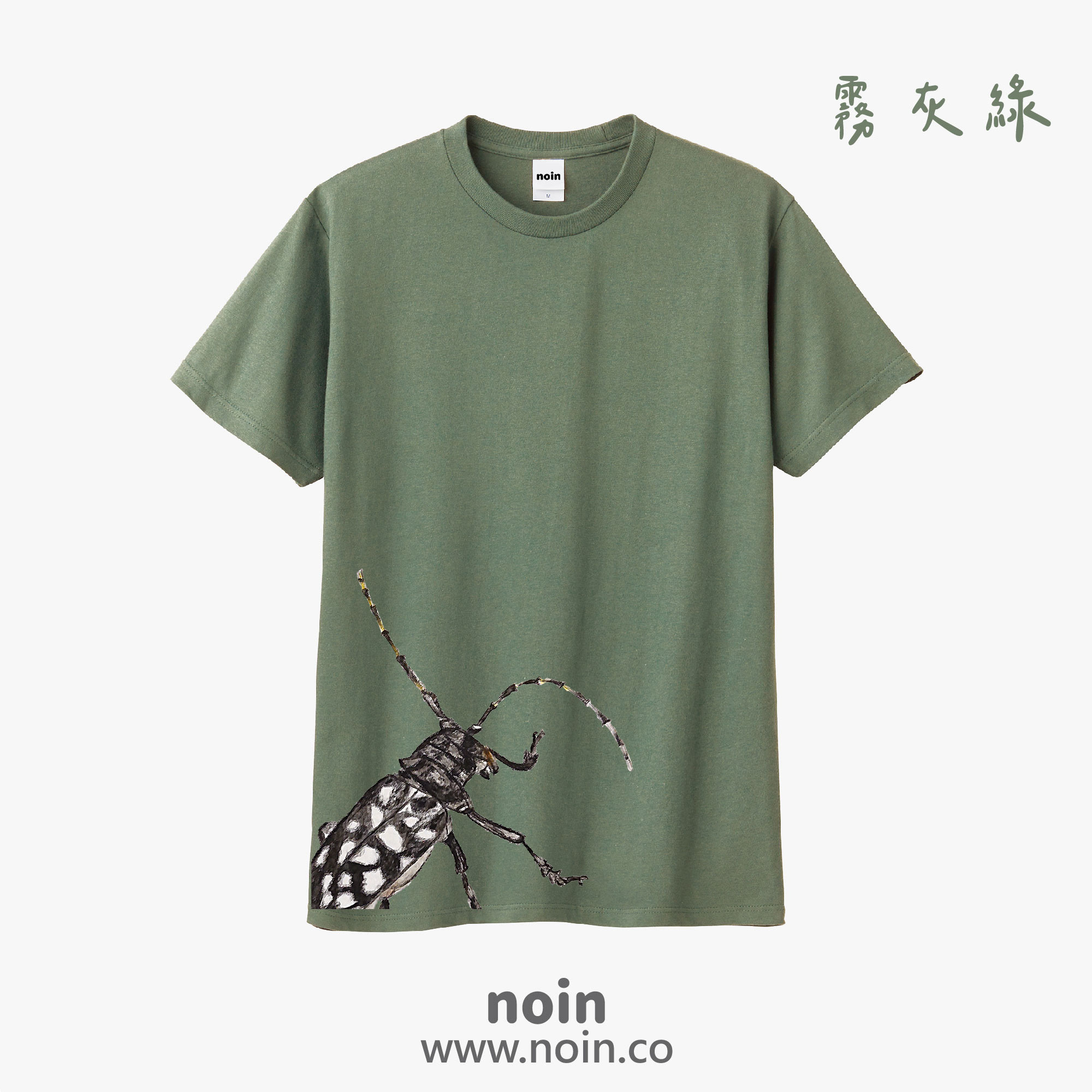 noin