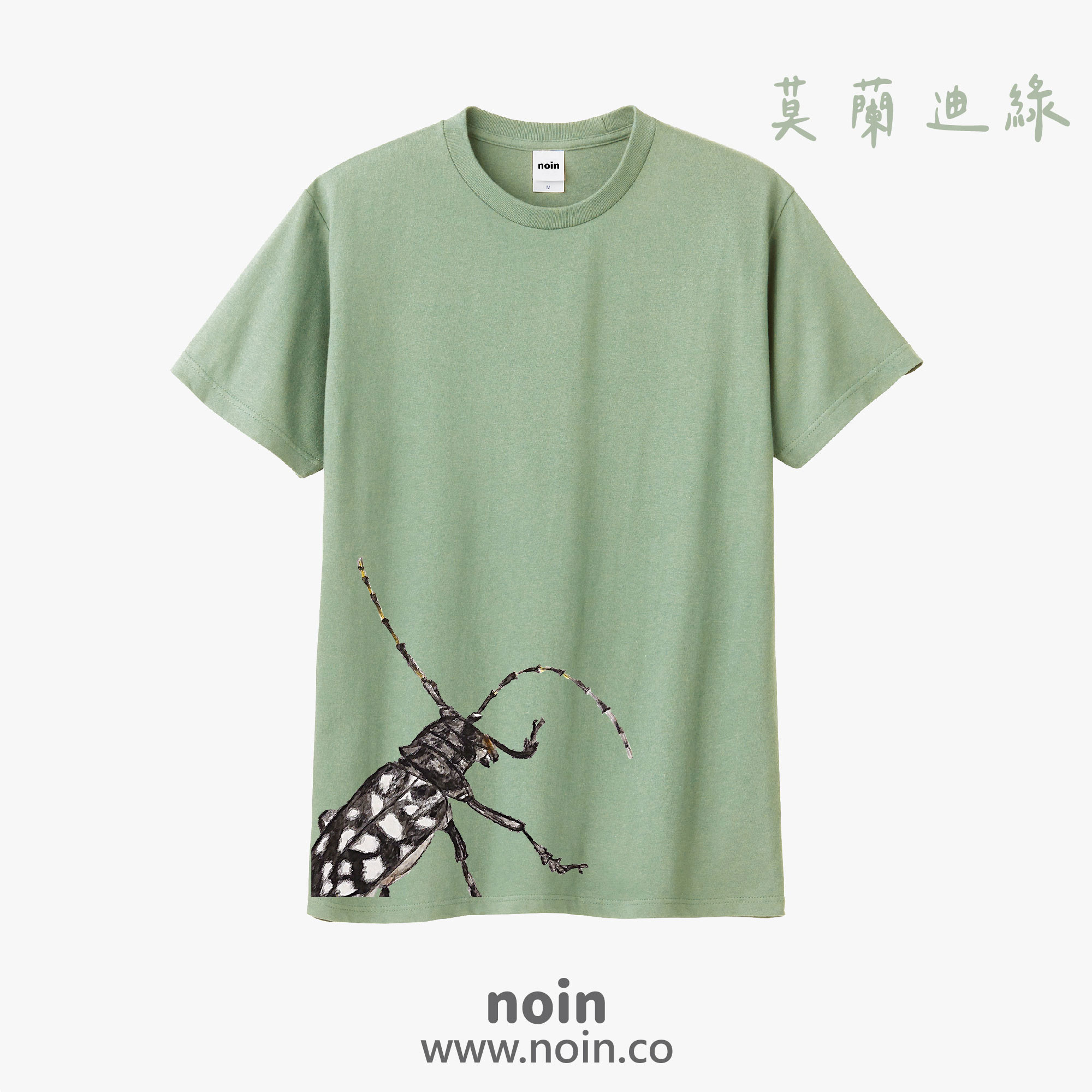 noin