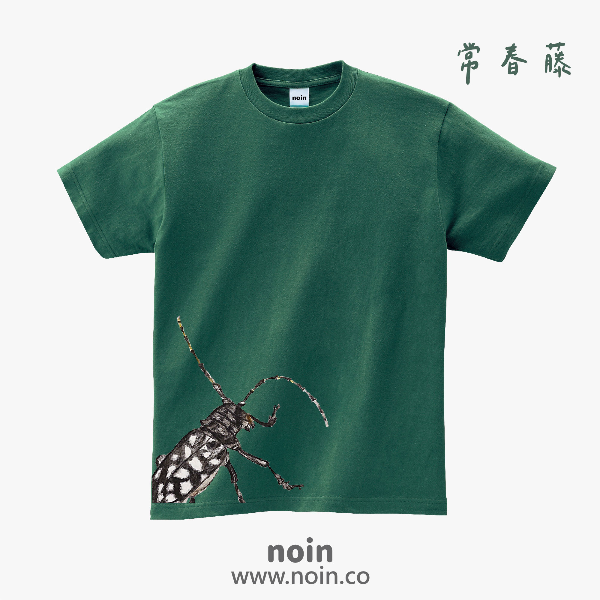 noin