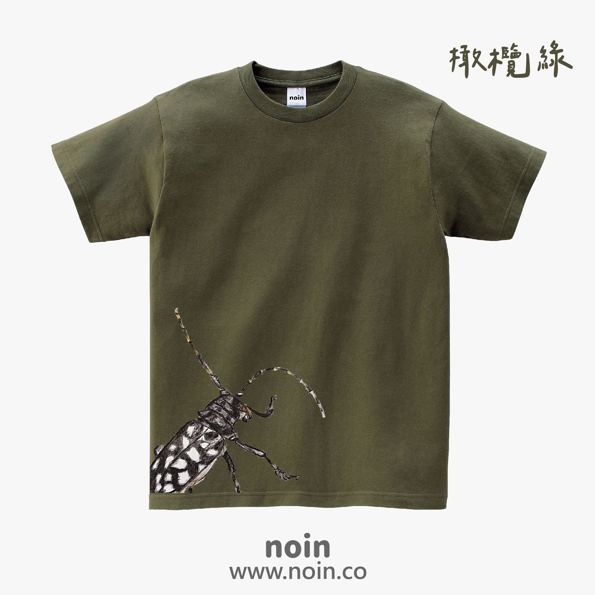 noin