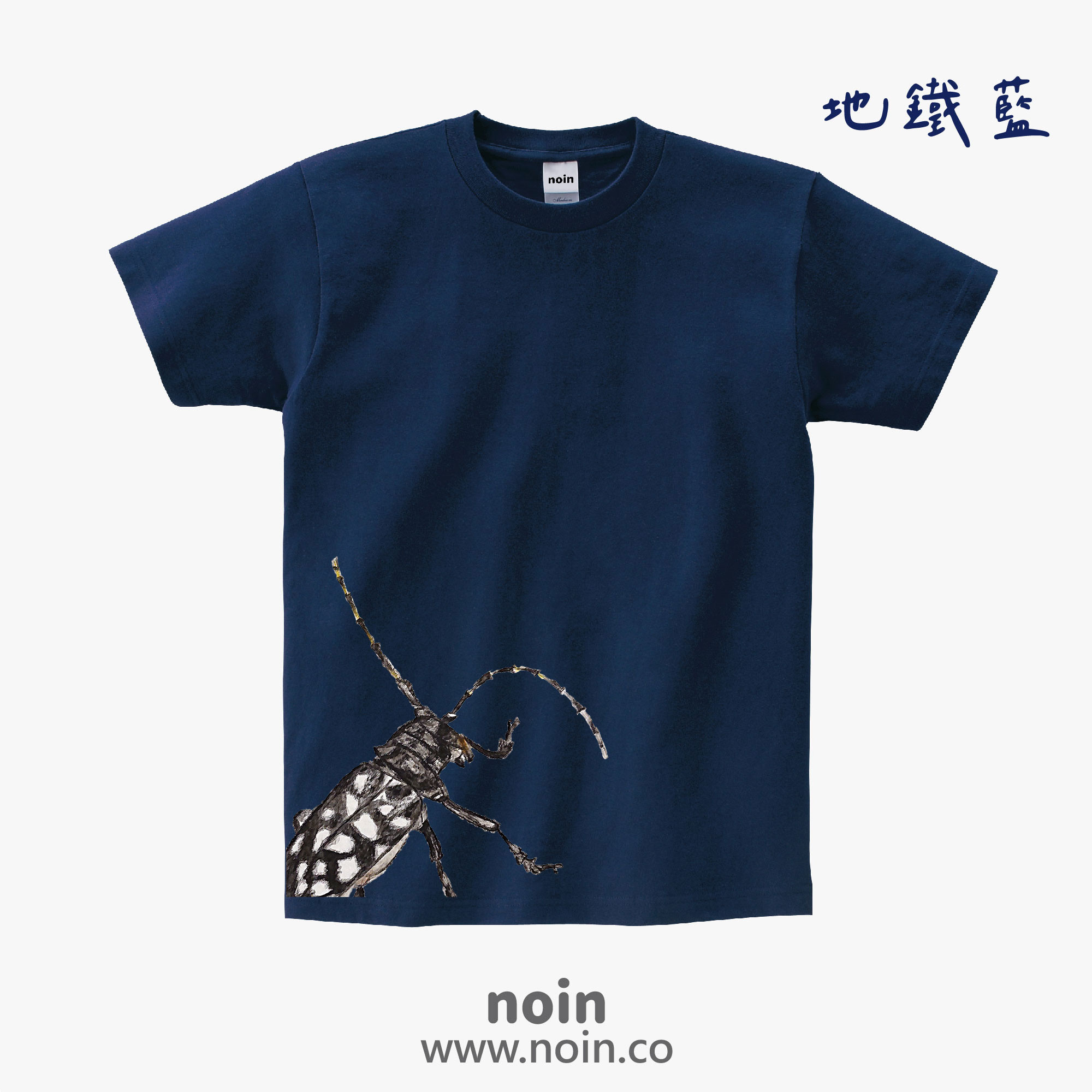 noin